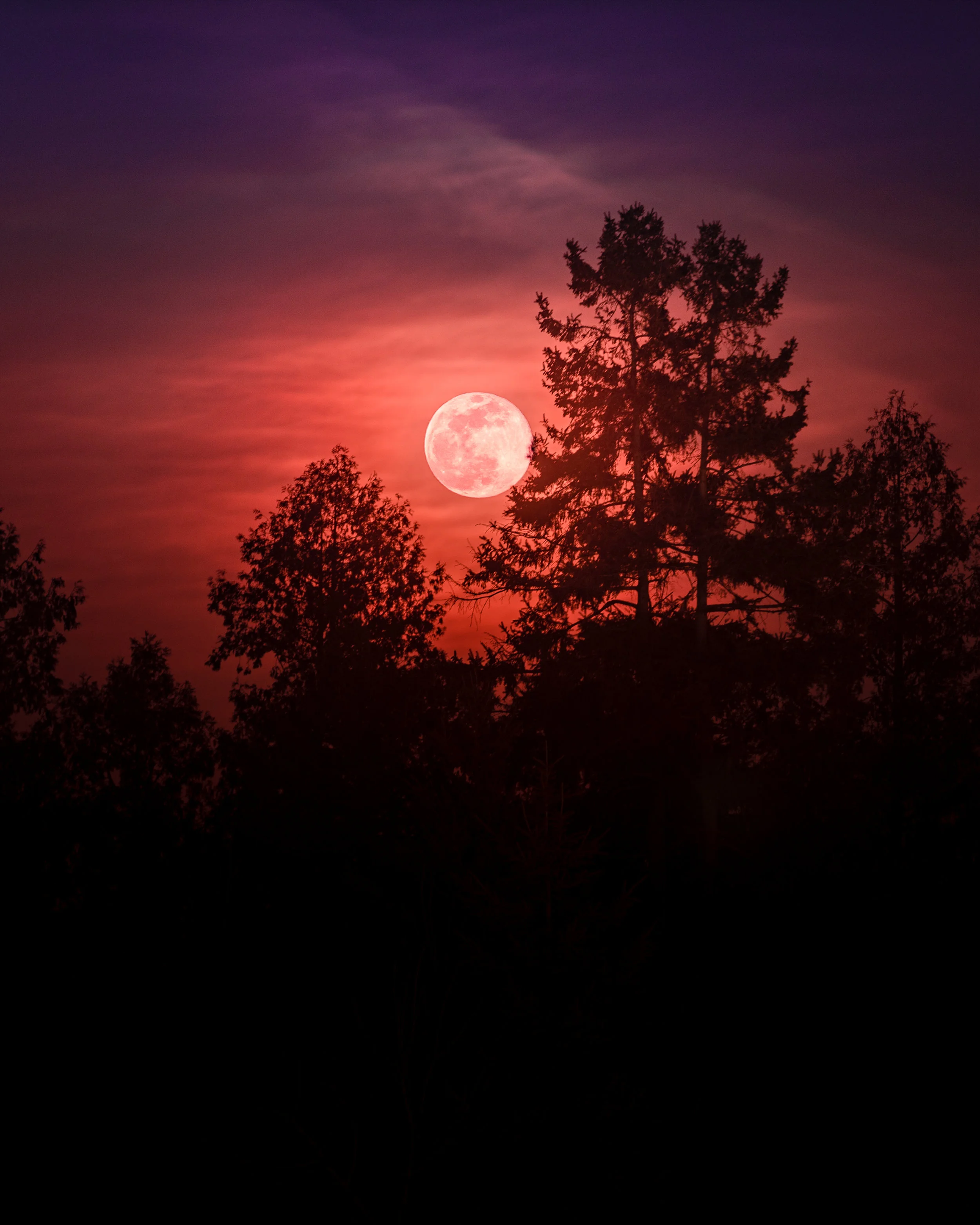 AT1I6926-Edit.jpg