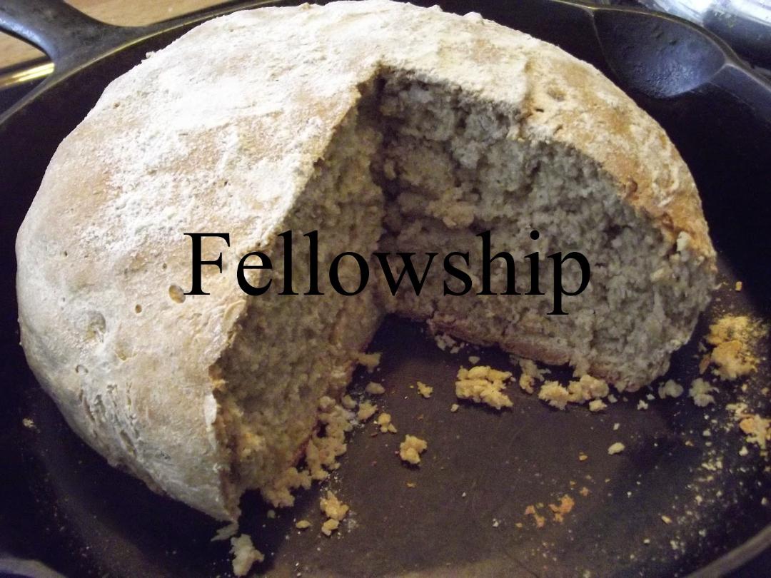 fellowship slide.jpg