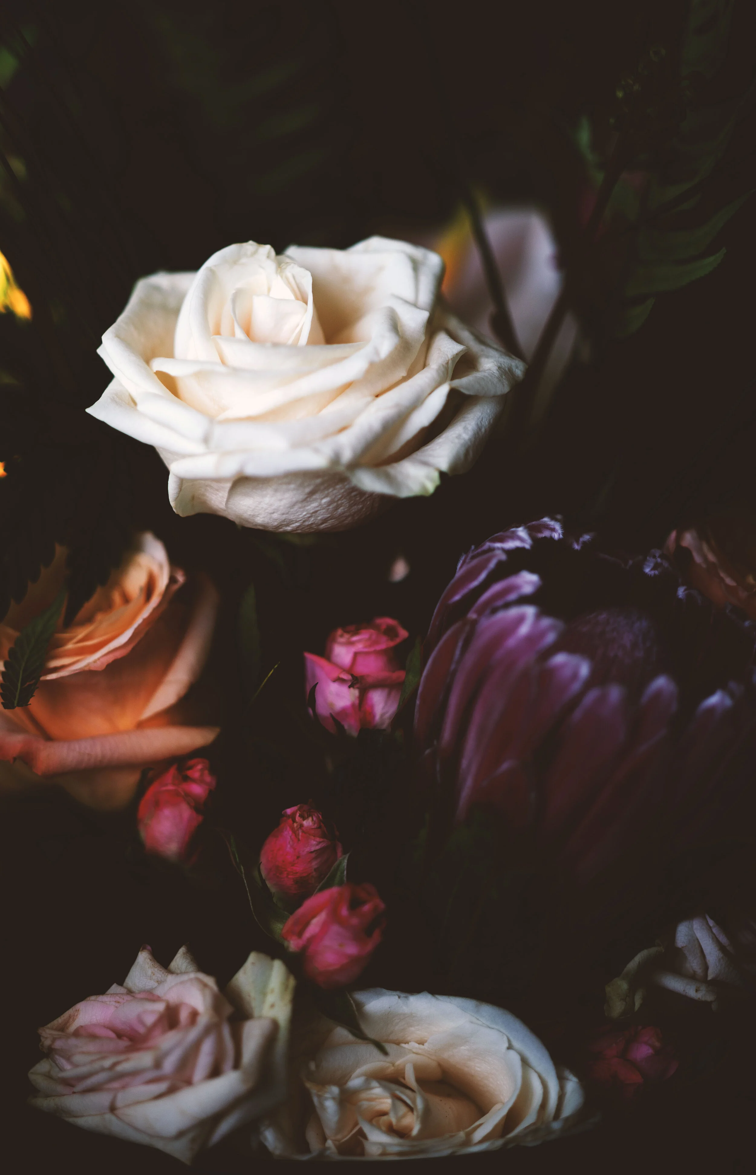 Flower background.jpg