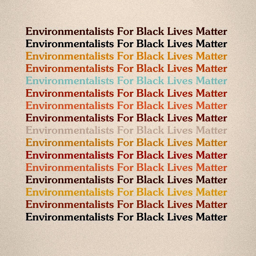 environmentalists for black lives matter