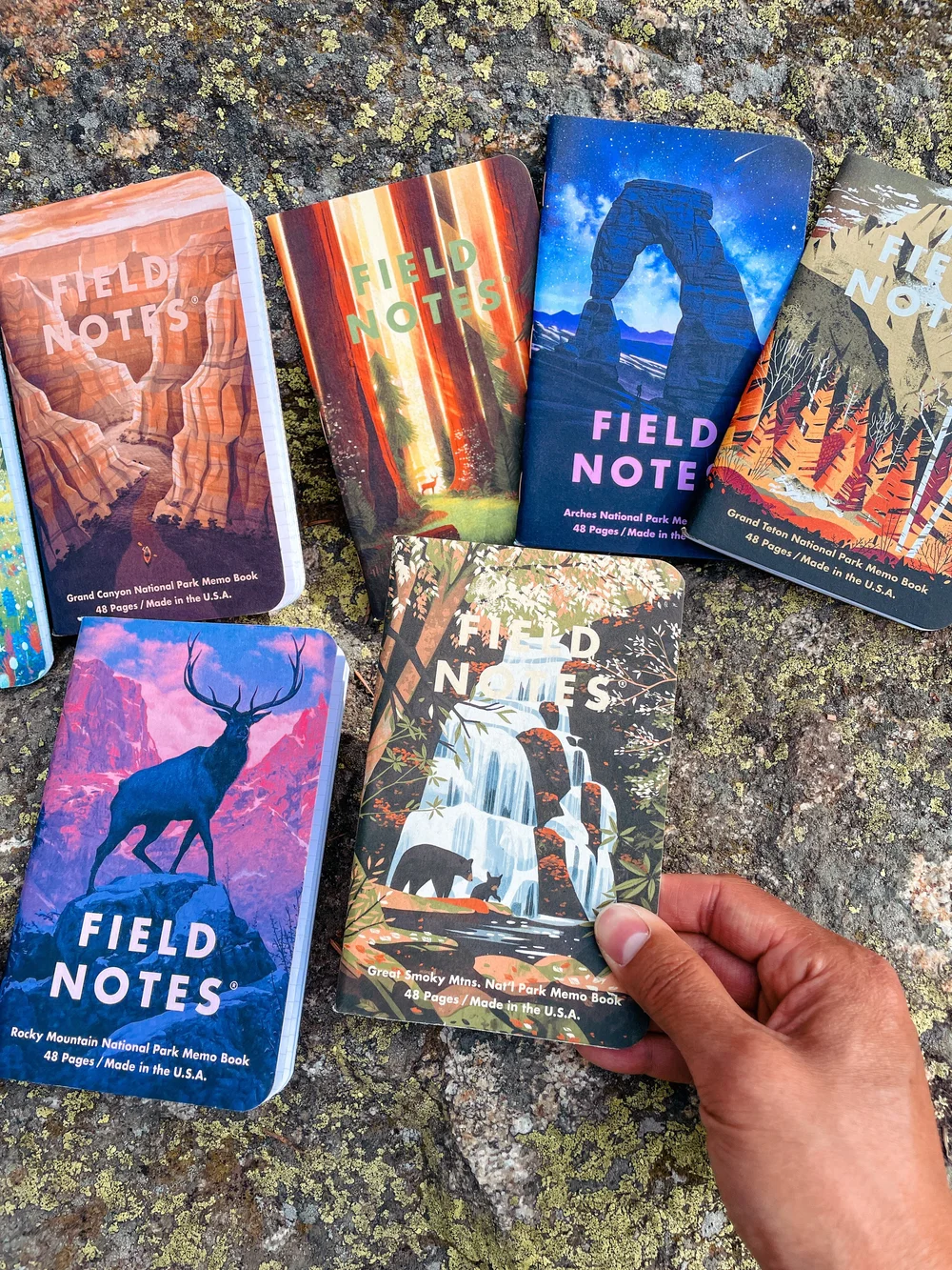 フィールドノート FIELD NOTES コレクション セット フィールドノート FIELD NOTES コレクション セット
