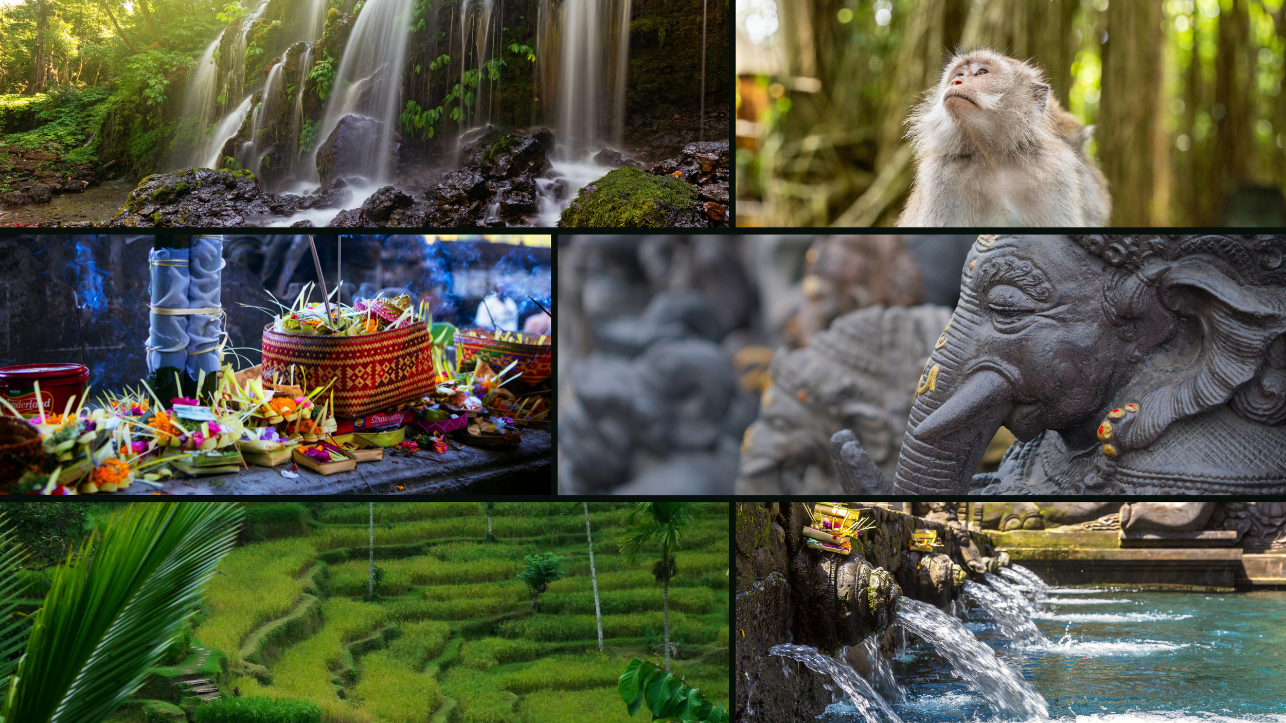 A collage of seven images featuring nature and cultural elements. The top left shows a waterfall flowing over rocks in a forest. The top right features a monkey with light fur looking upward in a green wooded area. The middle left depicts an offering with flowers and incense in a traditional setting. The middle right displays a close-up of intricately carved stone elephant statues with jewelry adornments. The bottom left presents lush green rice paddies with palm leaves in the foreground. The bottom right shows more carved stone sculptures by a river, with water flowing over rocks.