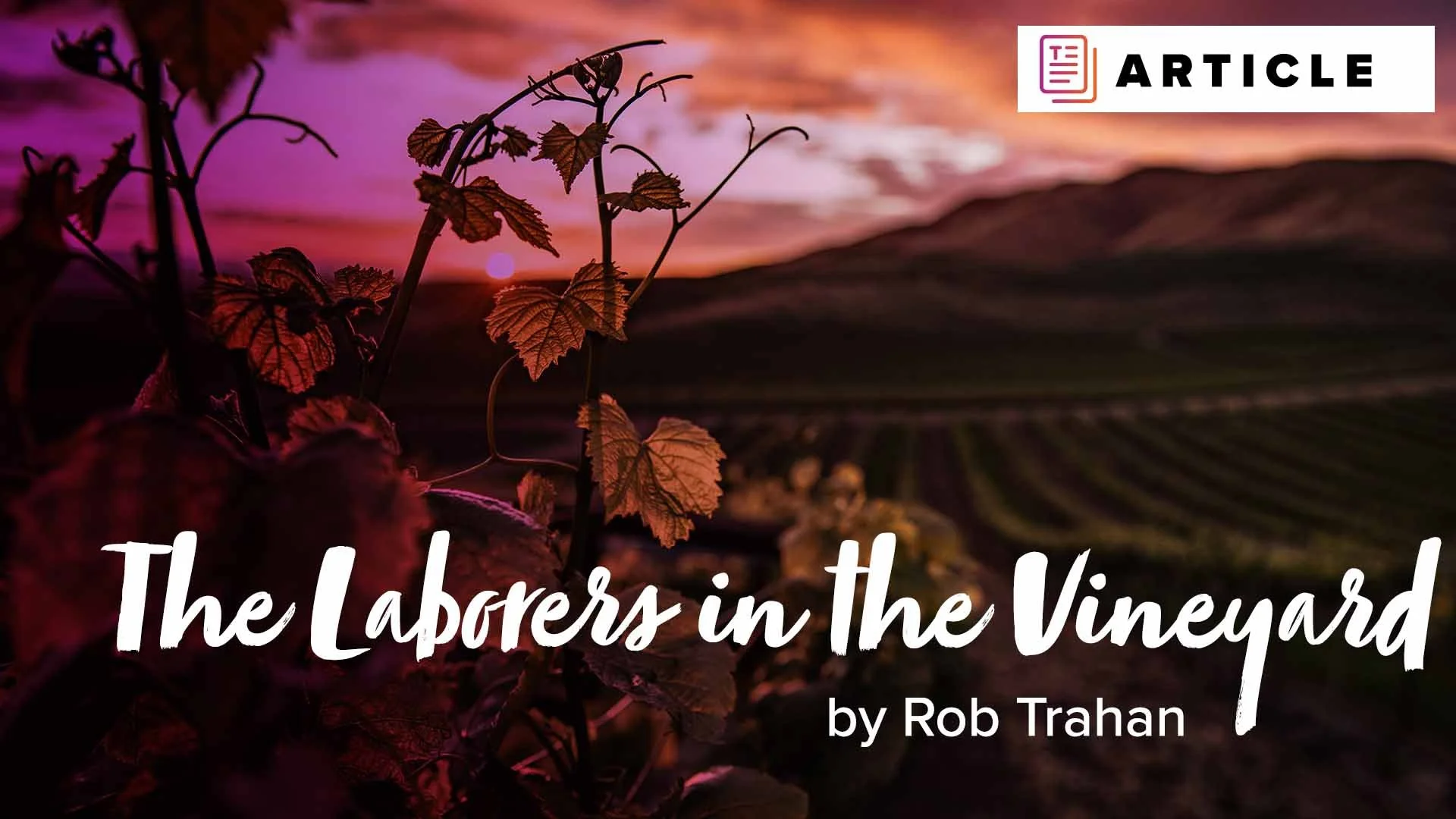 The Laborers In The Vineyard Hope On Demand