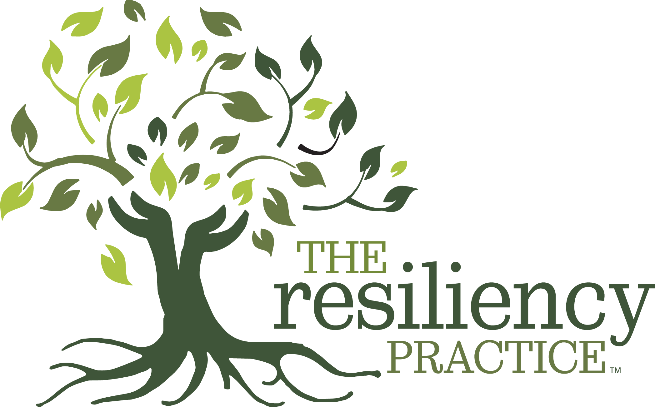 The Resiliency Practice LLC