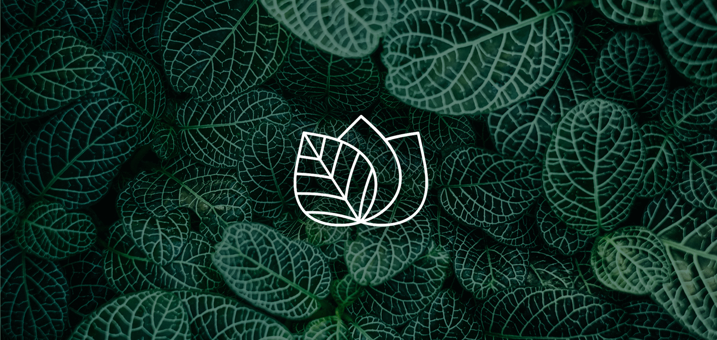 PlantsRus Animation.gif