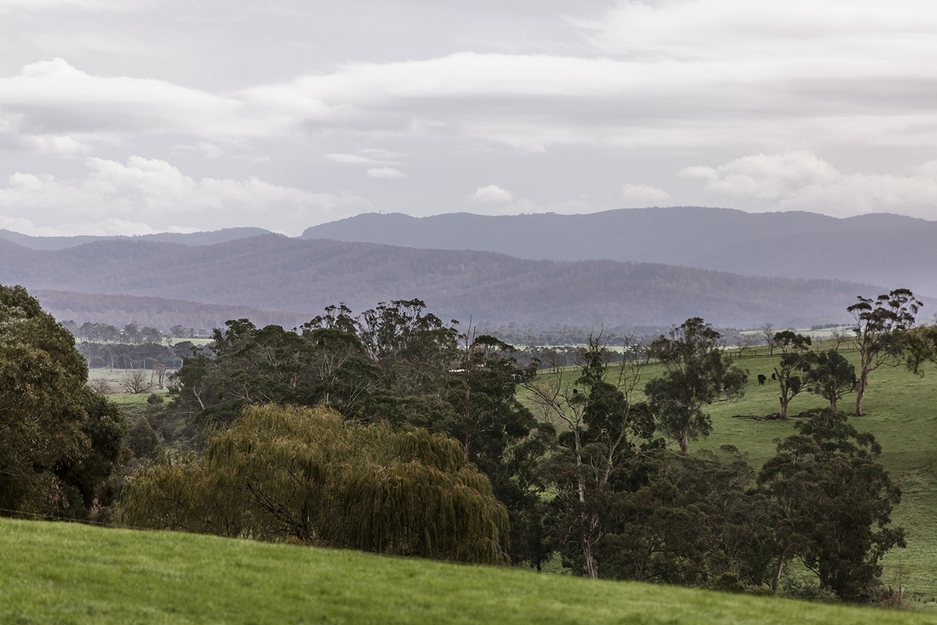Land_Gipps_Drouin-LR-4.jpg