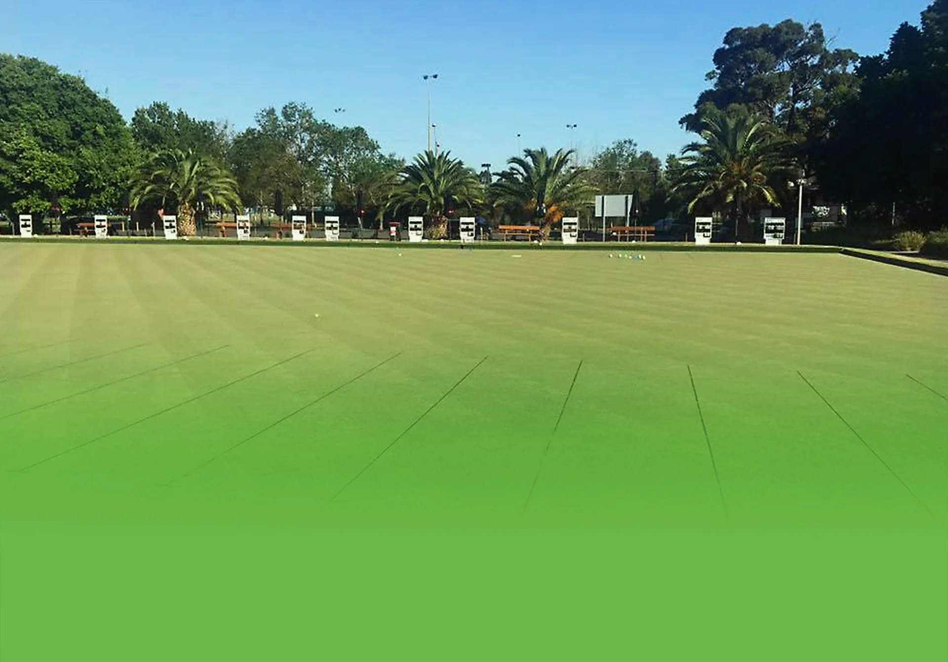 MPBC_SQsp_1920pxBanner_Greens_BANNER.jpg