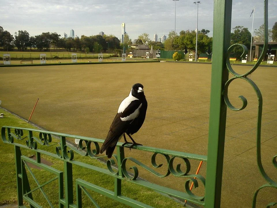 Middle Park