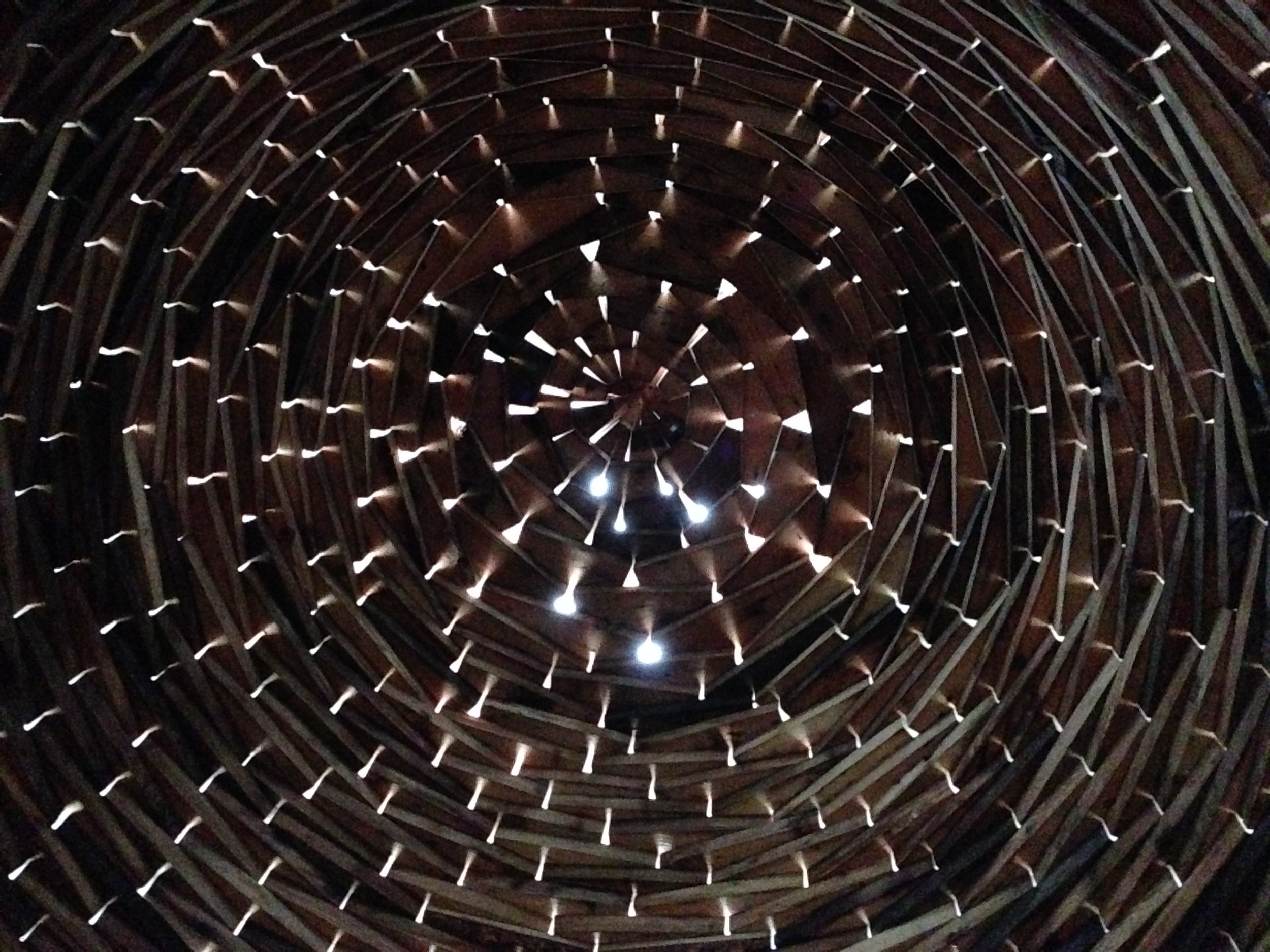 Night Blooming 2.JPG