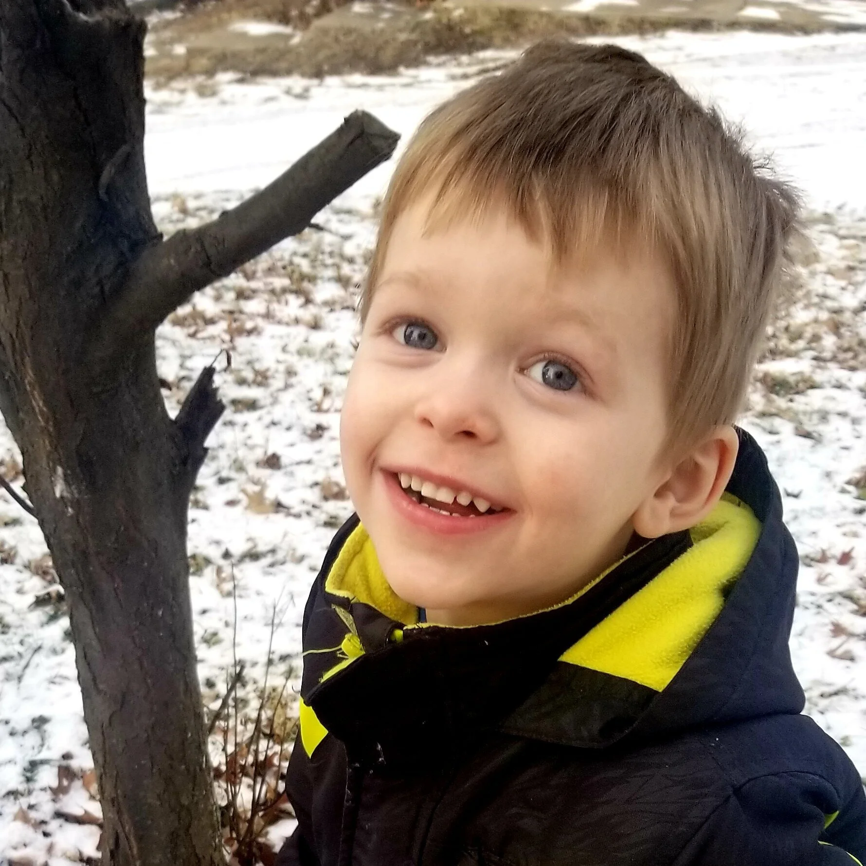 Meet Nolan