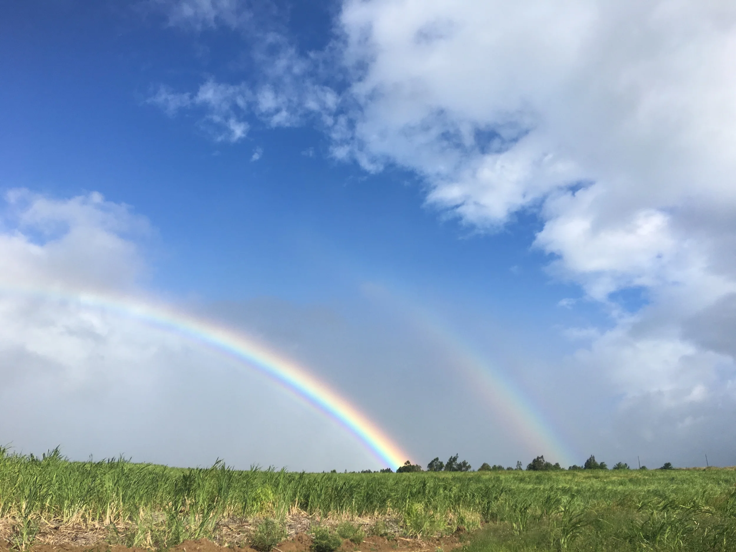 Whose footsteps are you choosing to follow?  Who is following yours'?