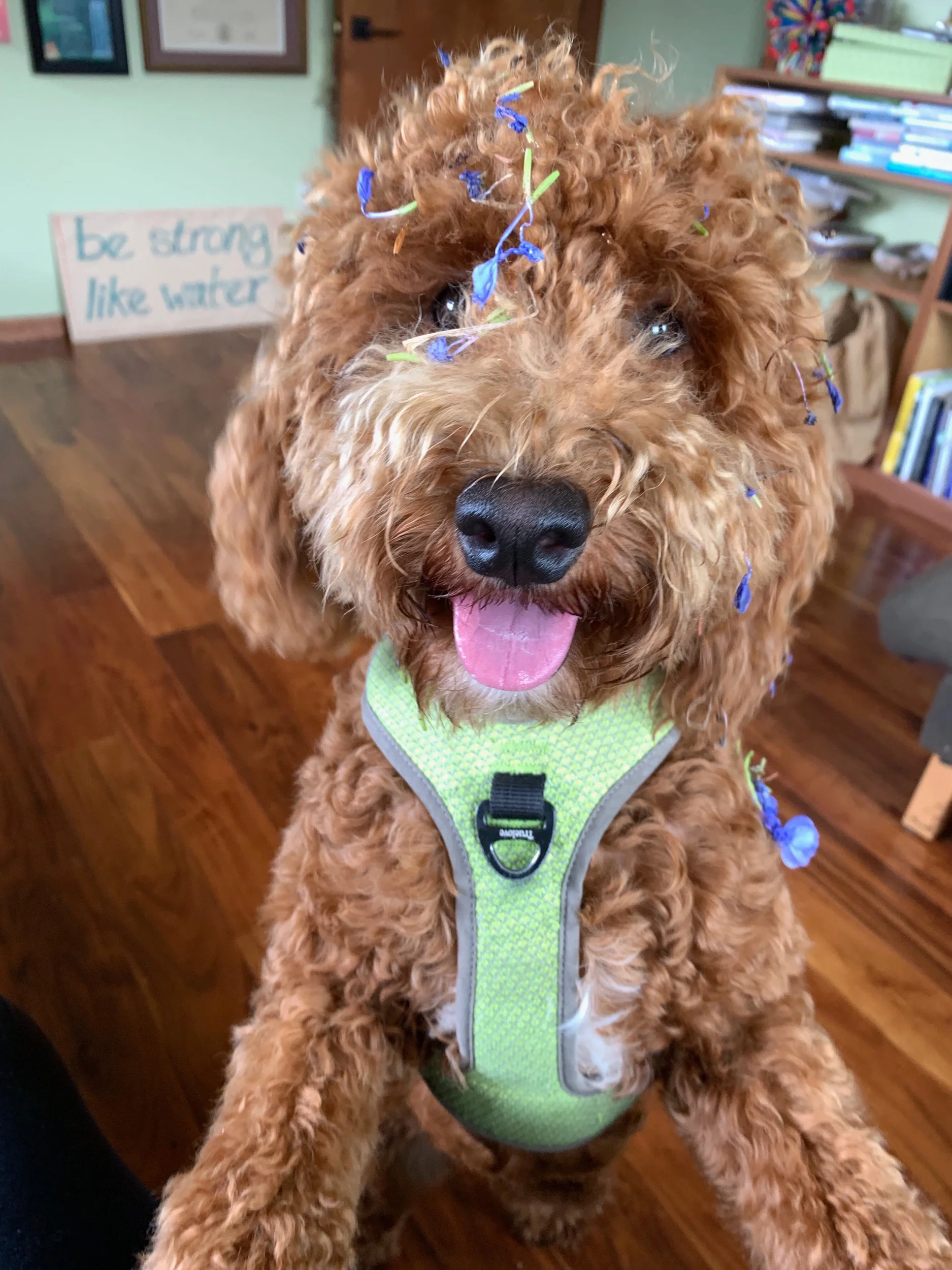 Who or what inspires you to love life now? Who are you inspiring?