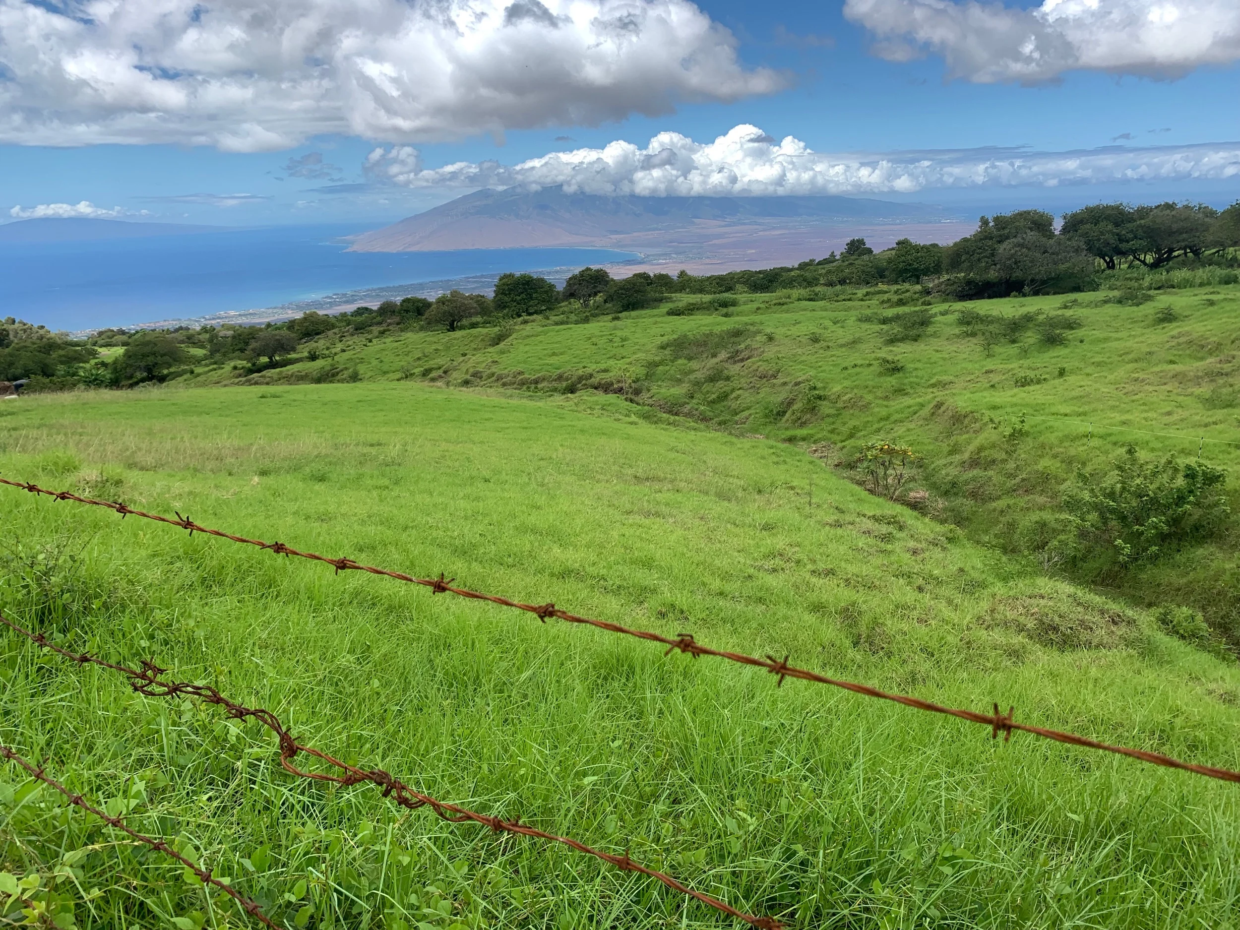 What is wider than your fear?