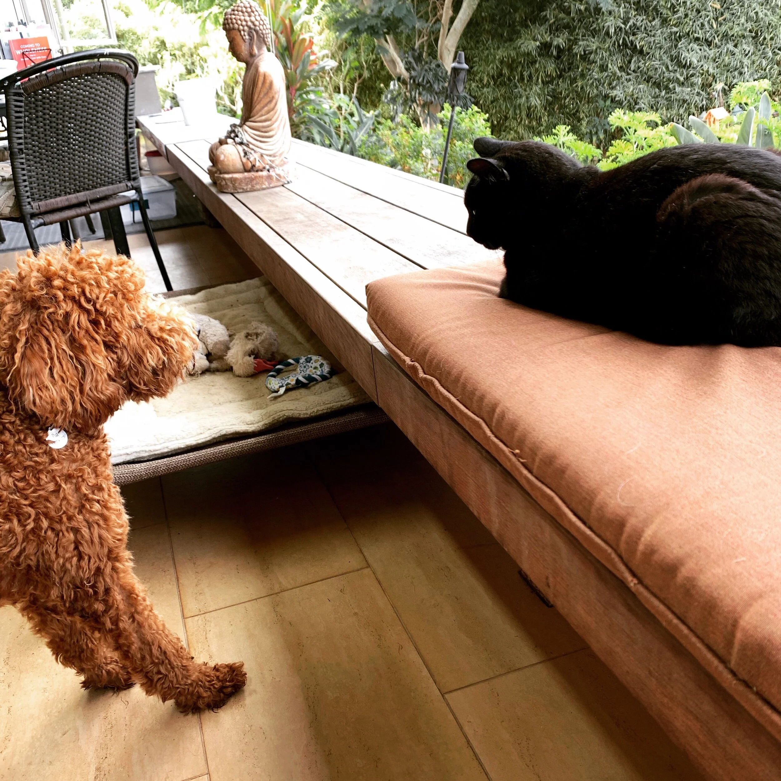 What would you have to do to respect the life you are now living?