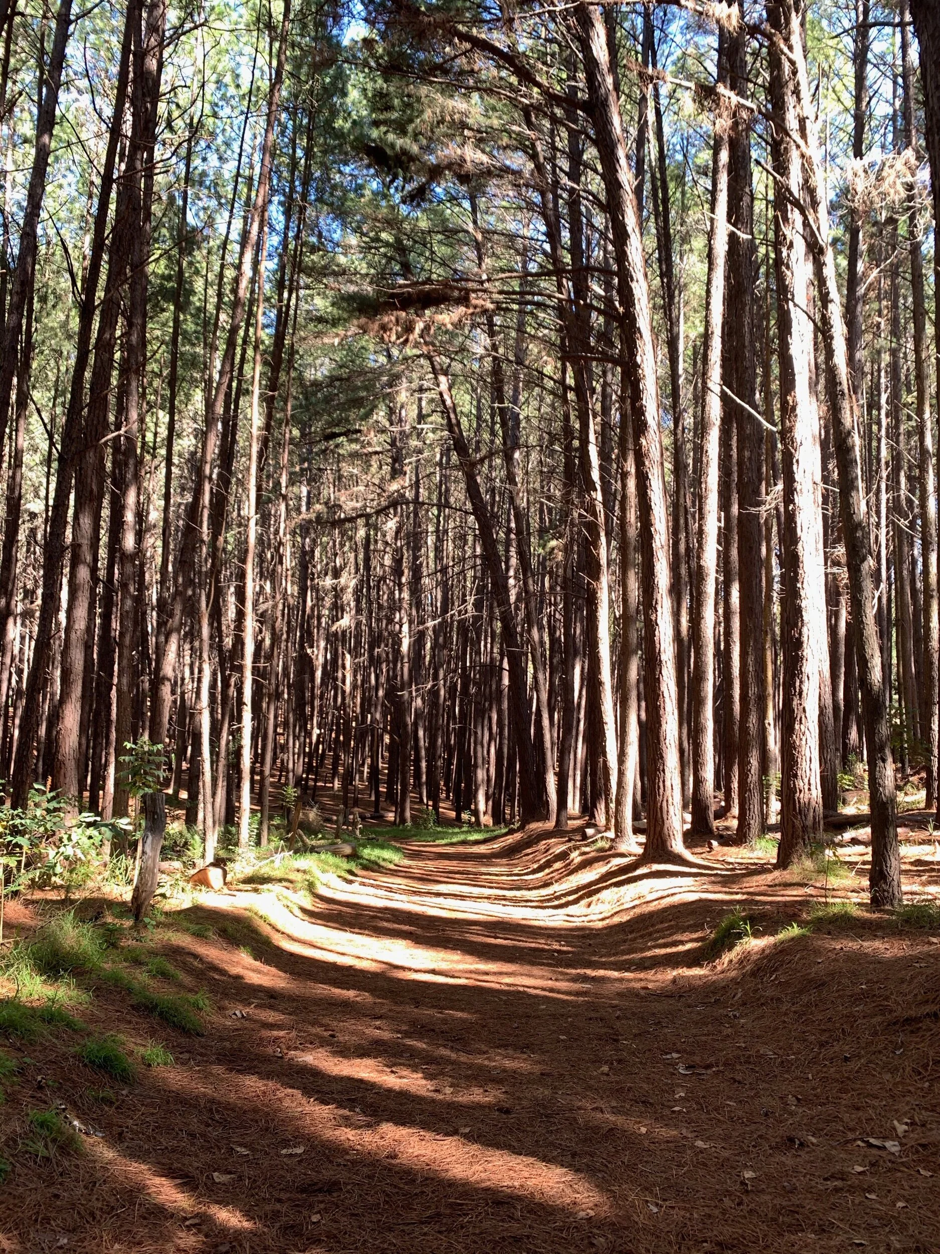 What wisdom has been passed on to you that has helped you rethink the way things can be?