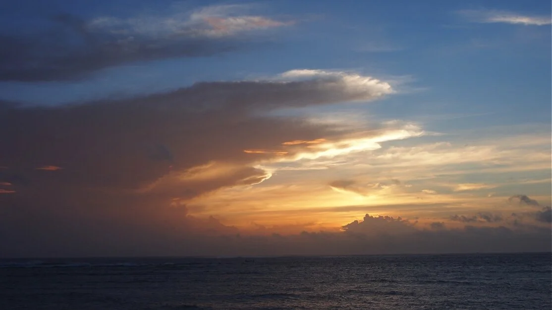 All that Waits to Be Born