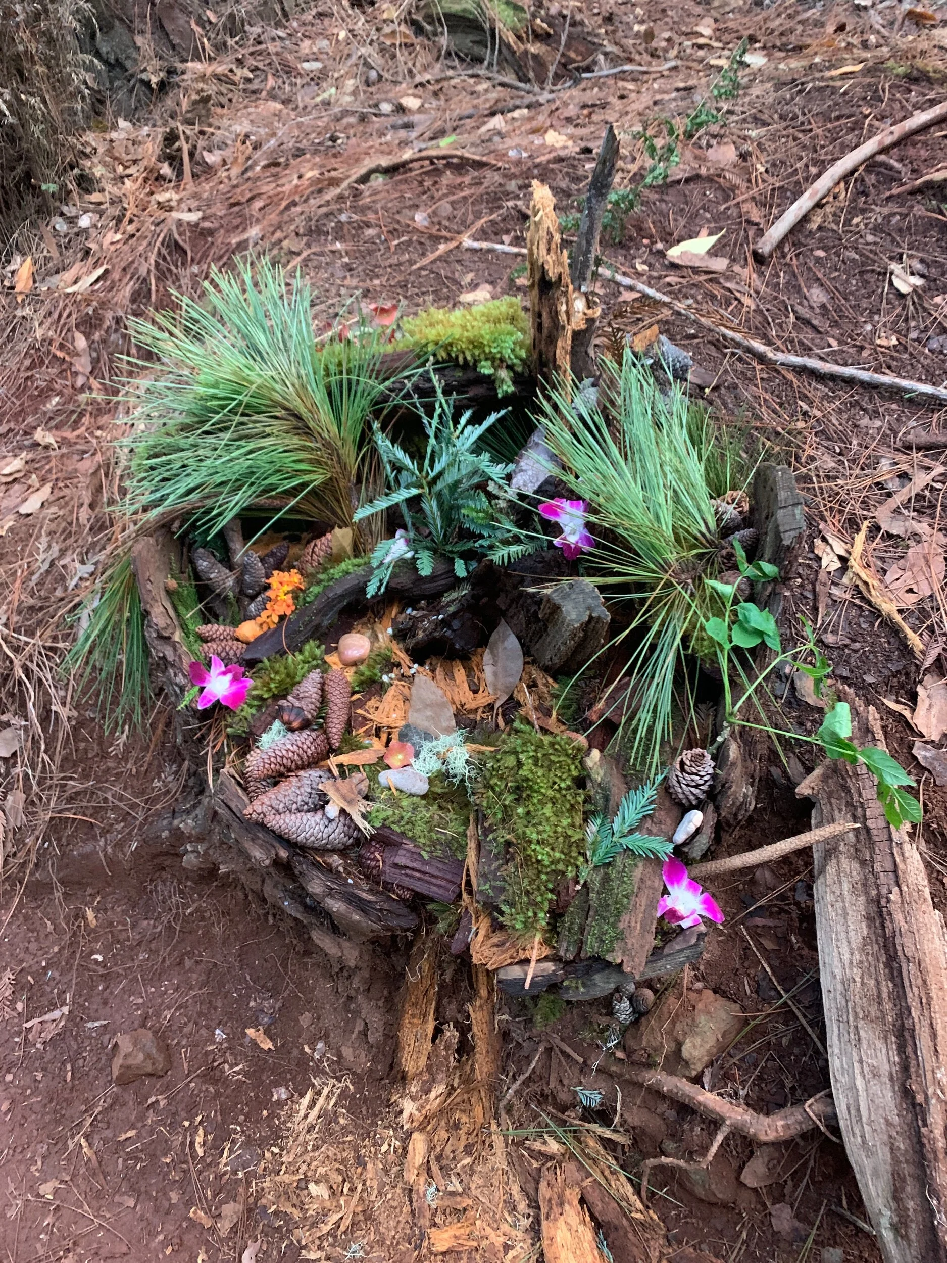 The Flower Dies and Frees the Seed