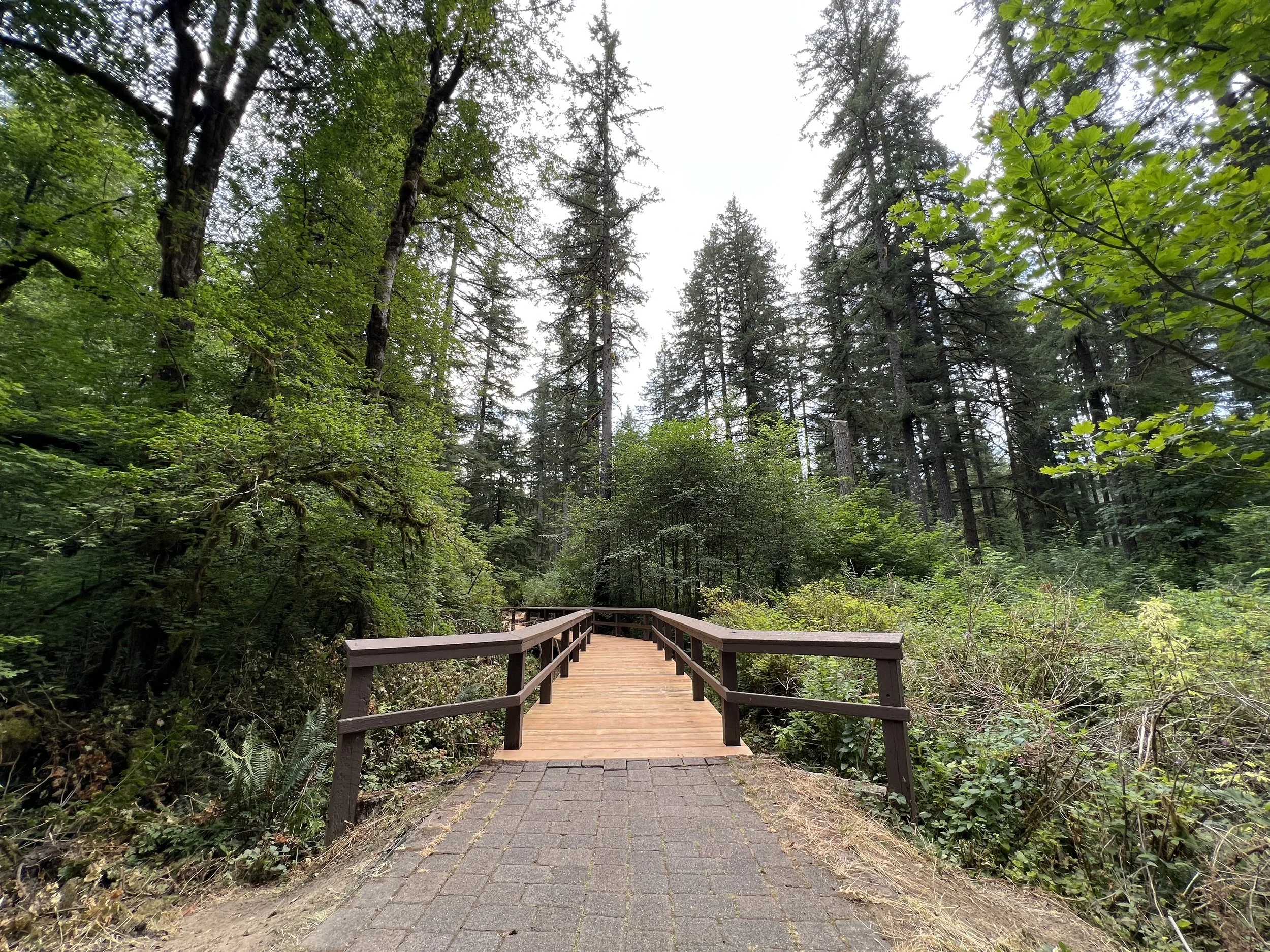 Silver Falls State Park