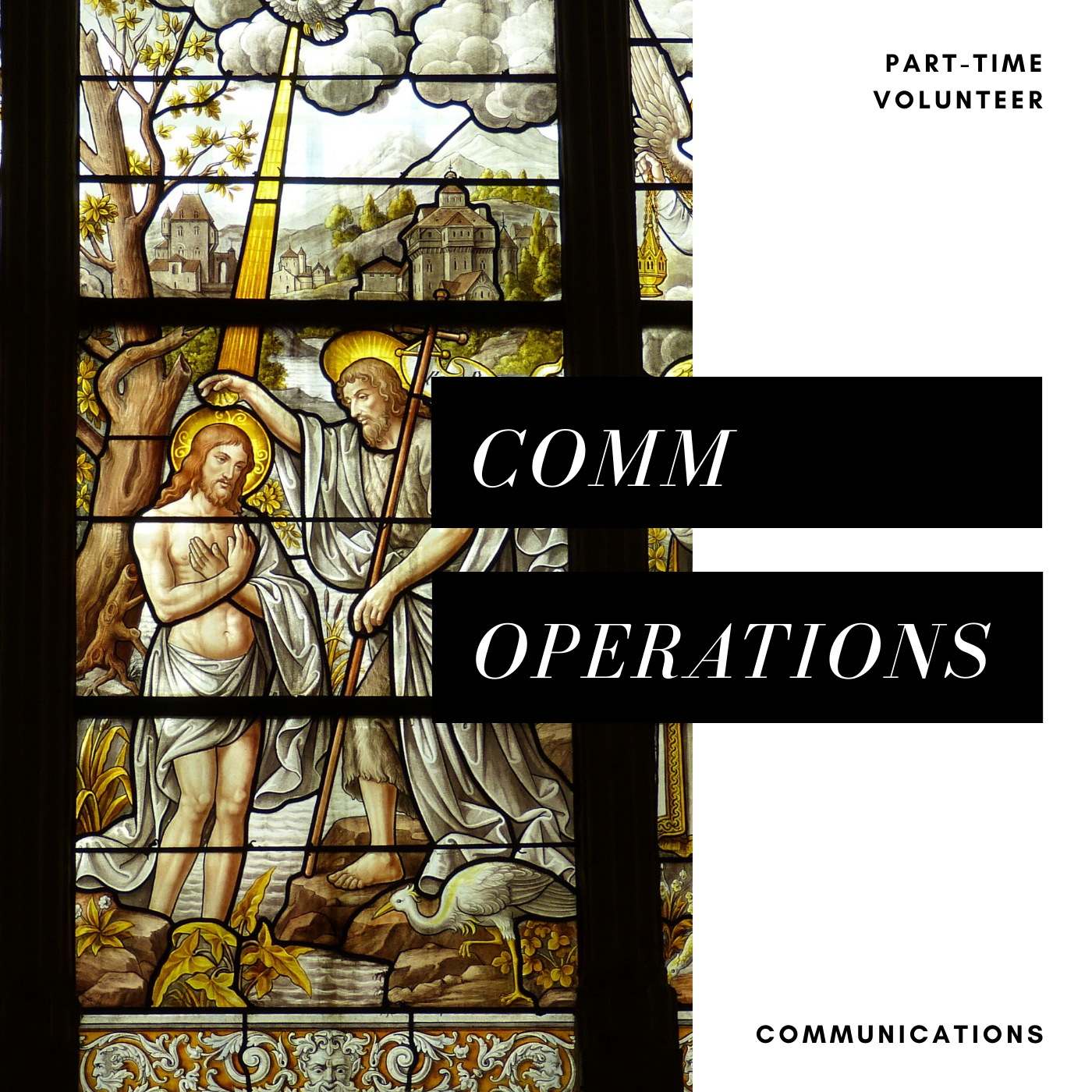 Communications Coordinator