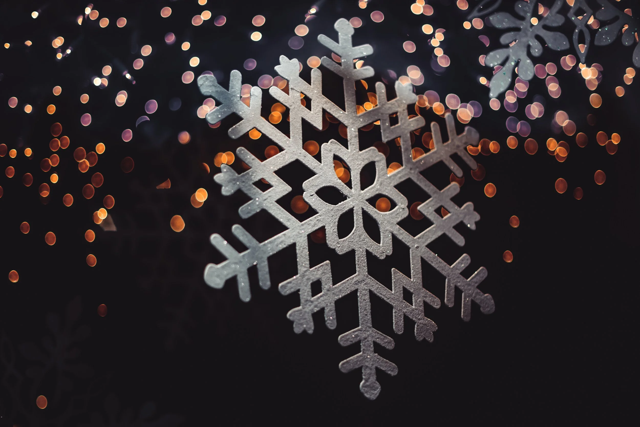 large snow flake tim-mossholder-vI6lH8neX-w-unsplash.jpg