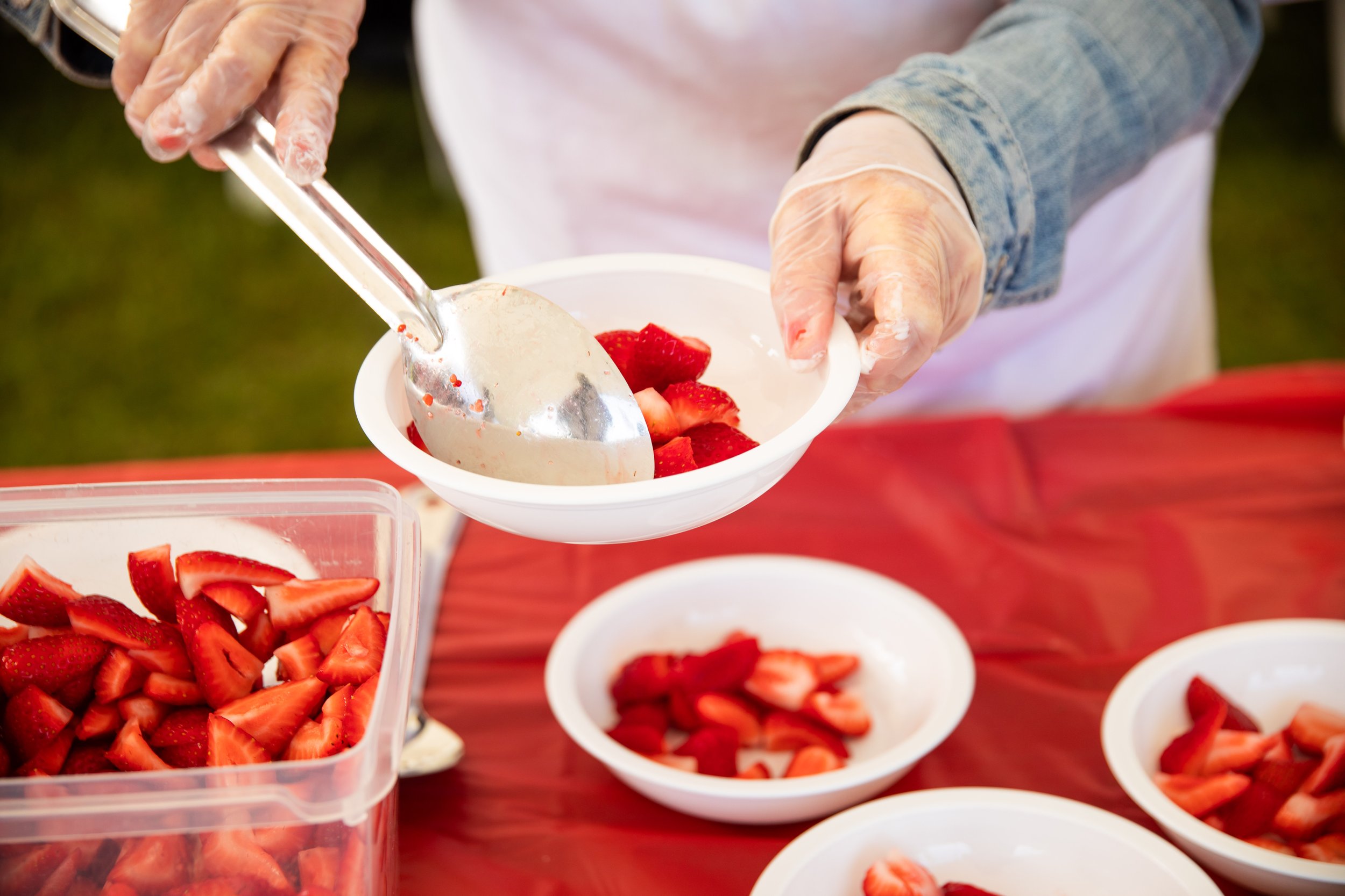 StrawberryfestivalKāpiti2023 (37).jpg