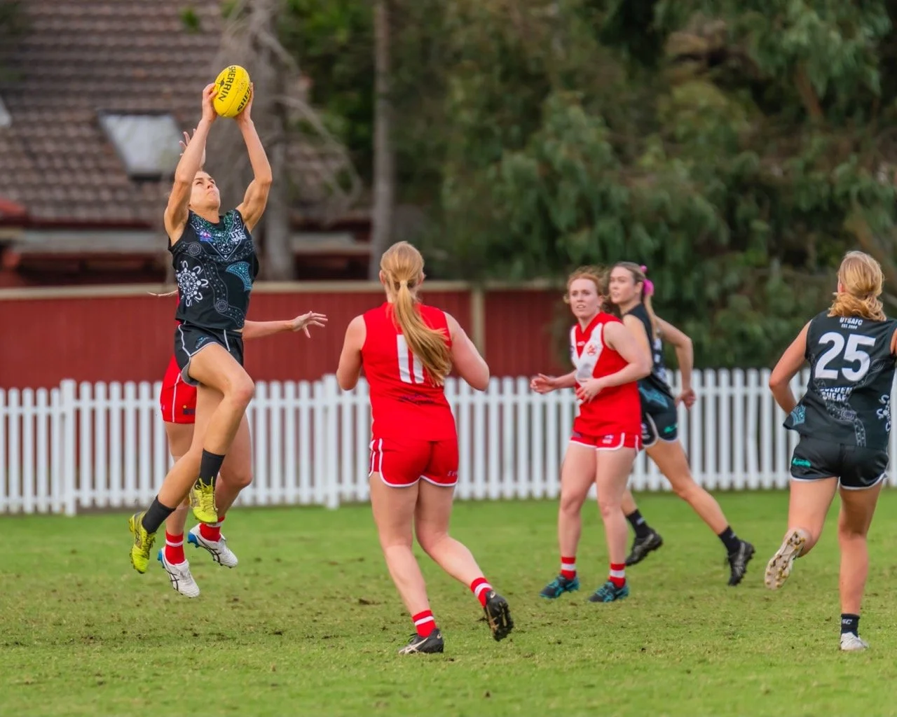 Screamer against Dragons.jpeg