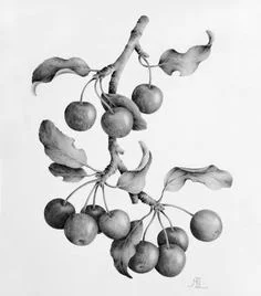 Camu Camu Berry (Myrciaria Dubia): Camu camu berries, which are native to the Amazon region, contain about 30 times the amount of found in oranges. They're also rich in ellagic acid, an antioxidant that can help protect skin against free radicals. C…