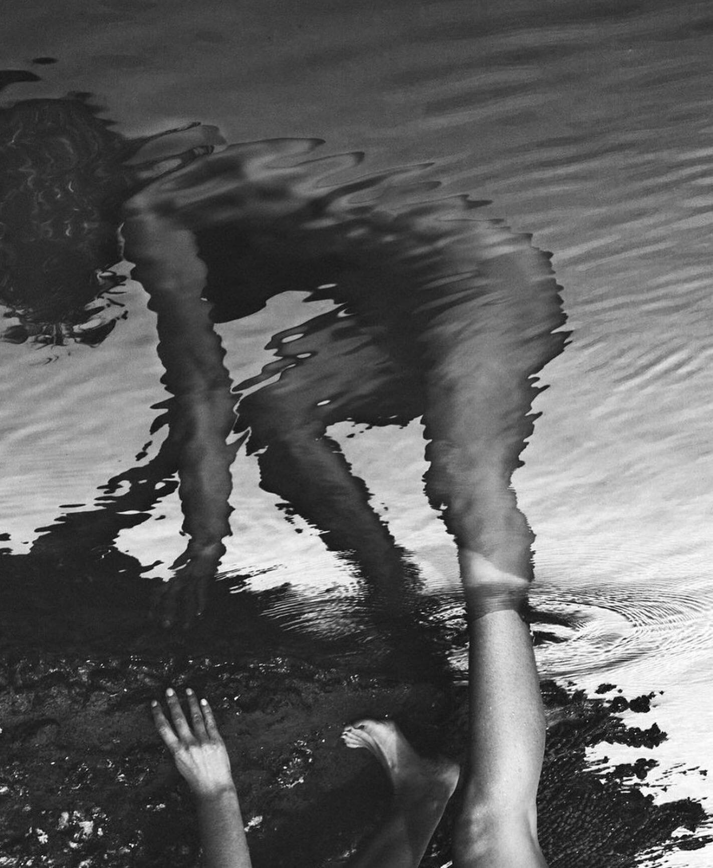 &ldquo;Anima&rdquo;, Sylve Colles