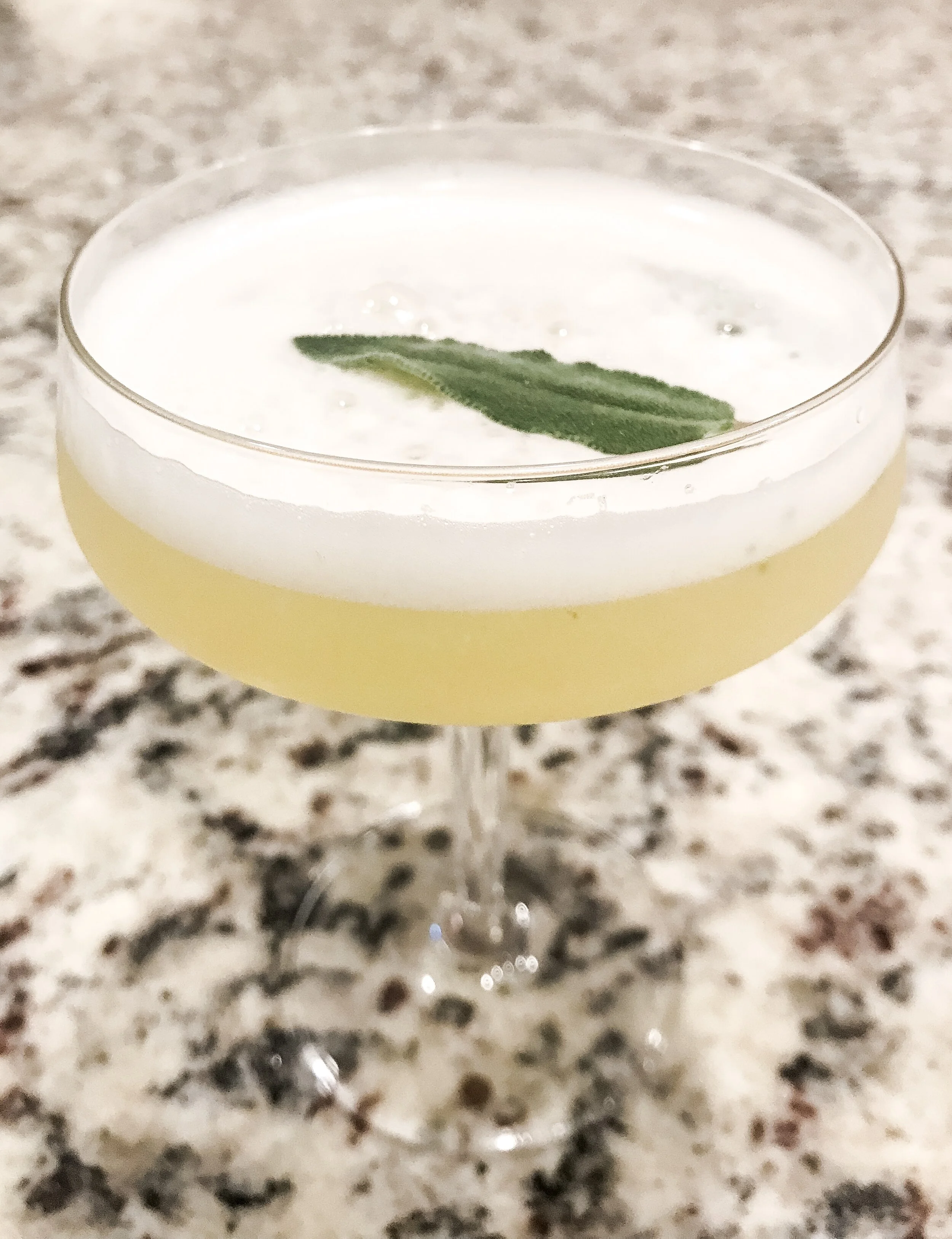 the gin sour