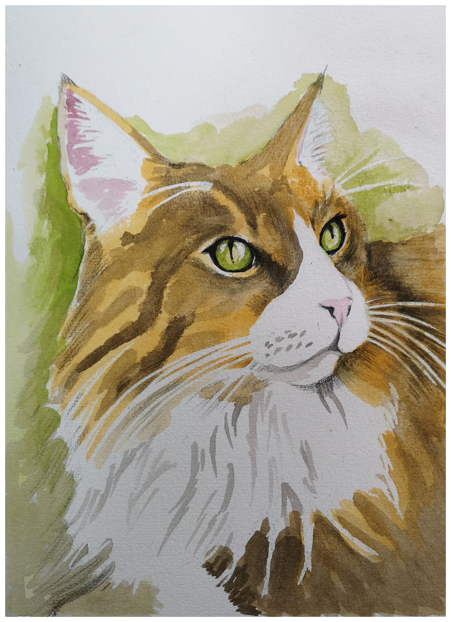 Buster in watercolours_edited.jpg