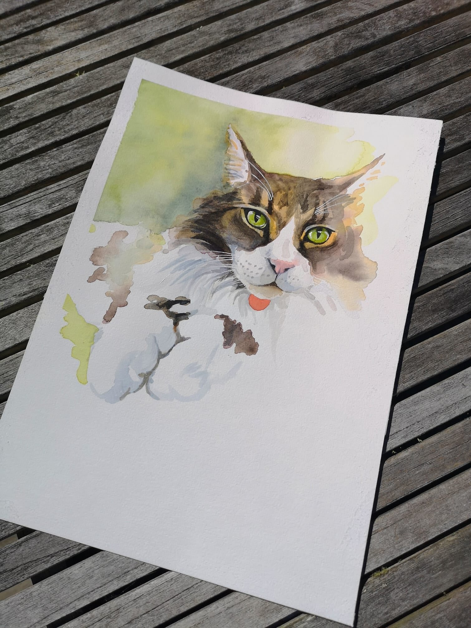 Buster in watercolours2.jpg