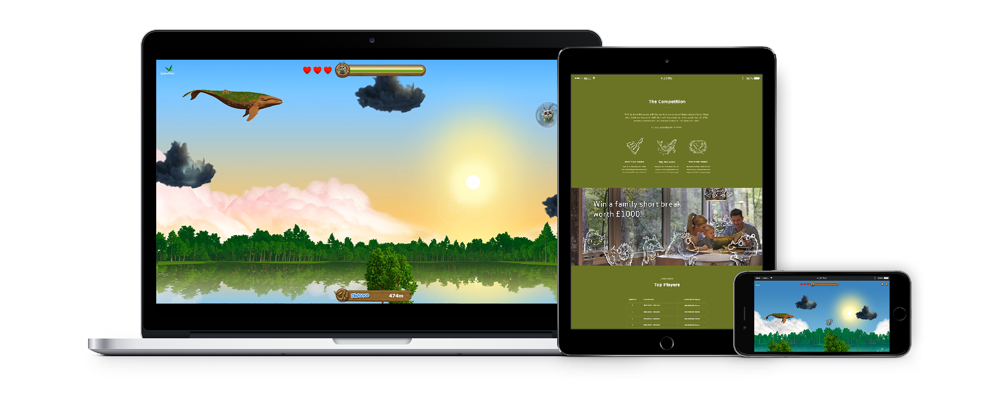 Center Parcs Flying Forest Whale game