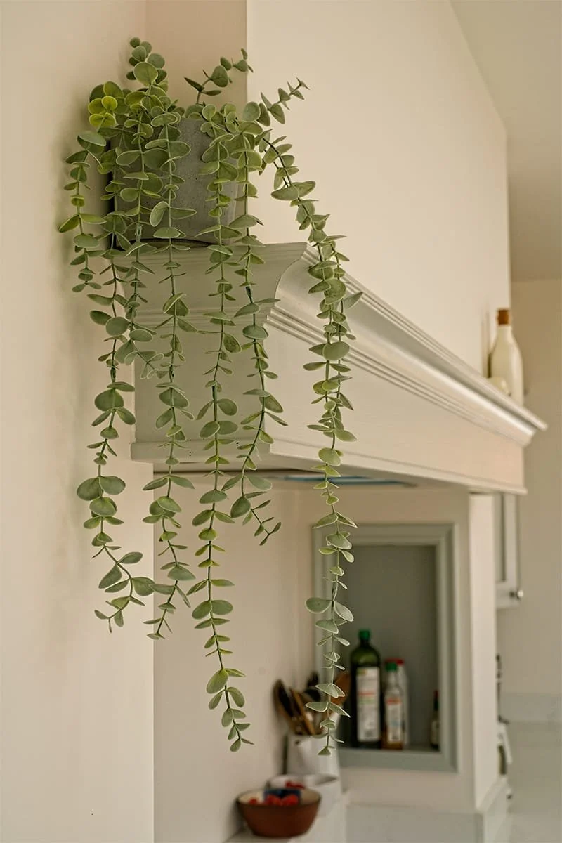 Chambers&Beau_kitchen (2).jpg