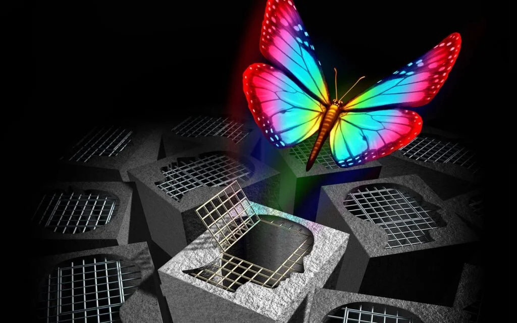 Guide to Psychedelic Therapy