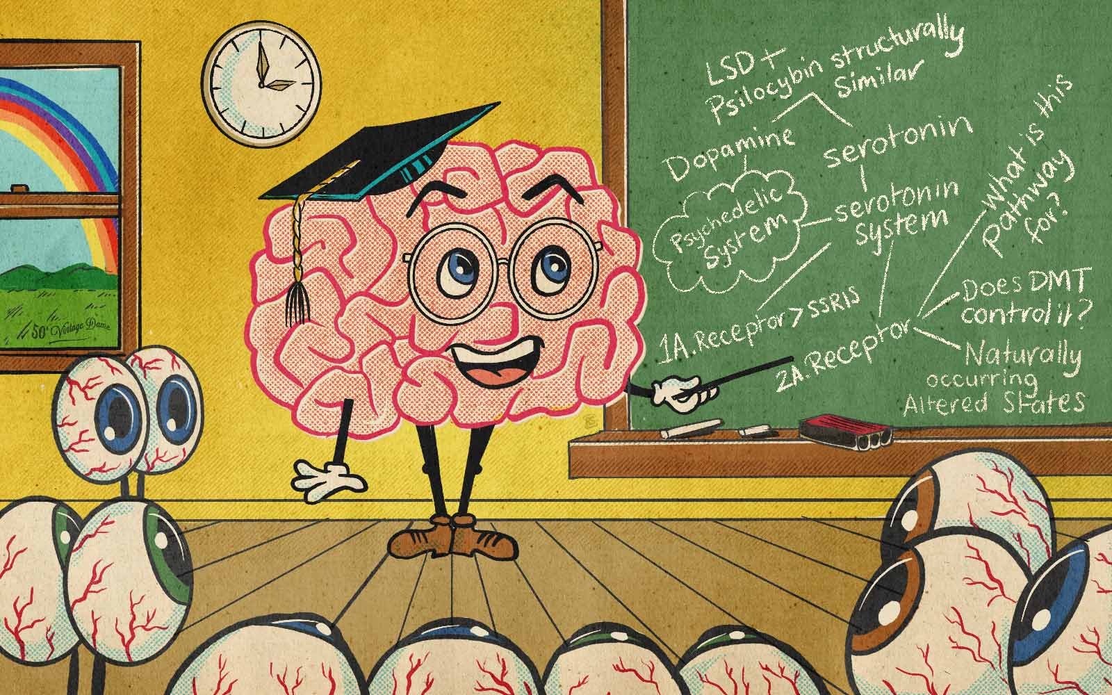 5HT2A receptors: The brain's psychedelic system