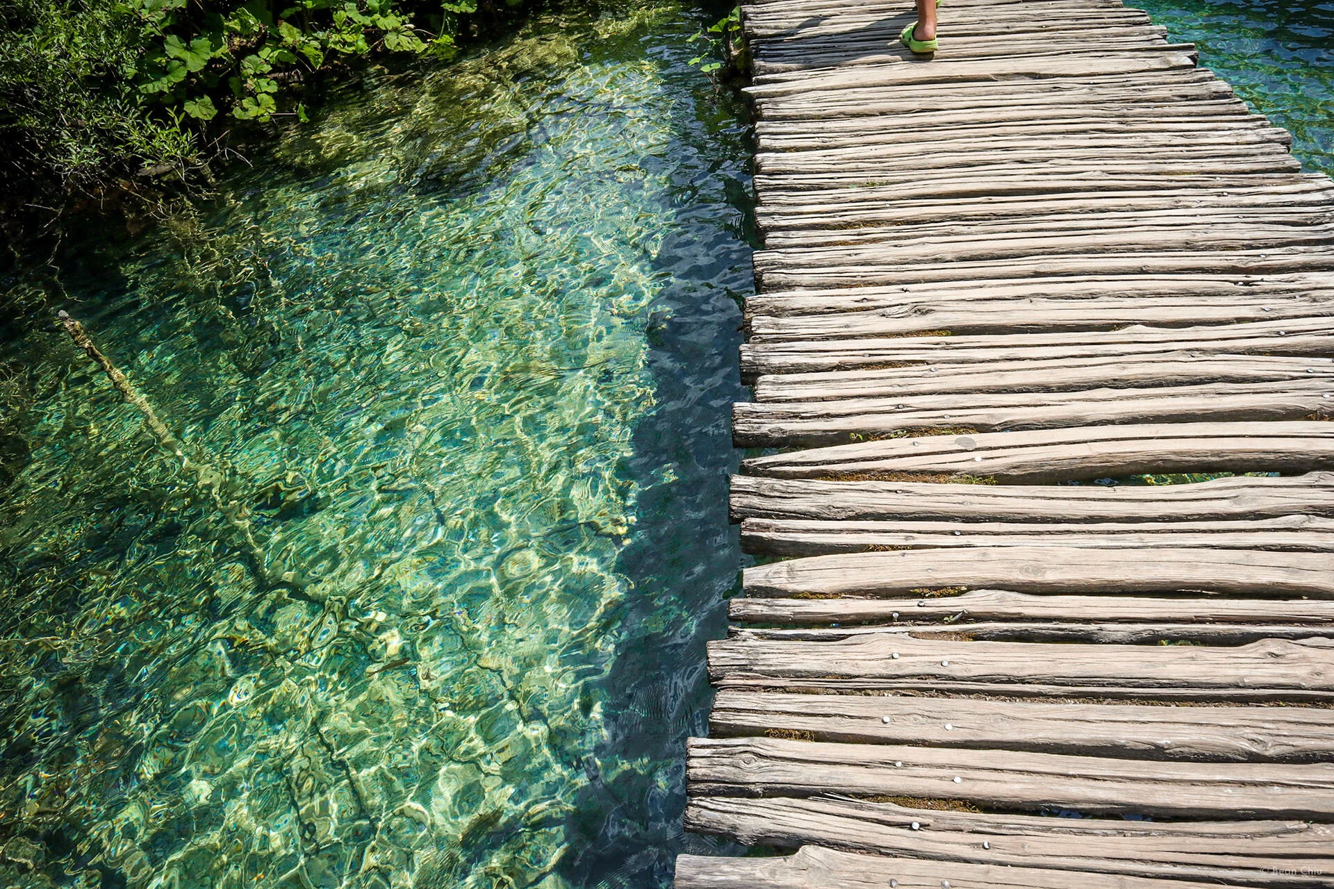 web cover_0309 (7)1920.jpg