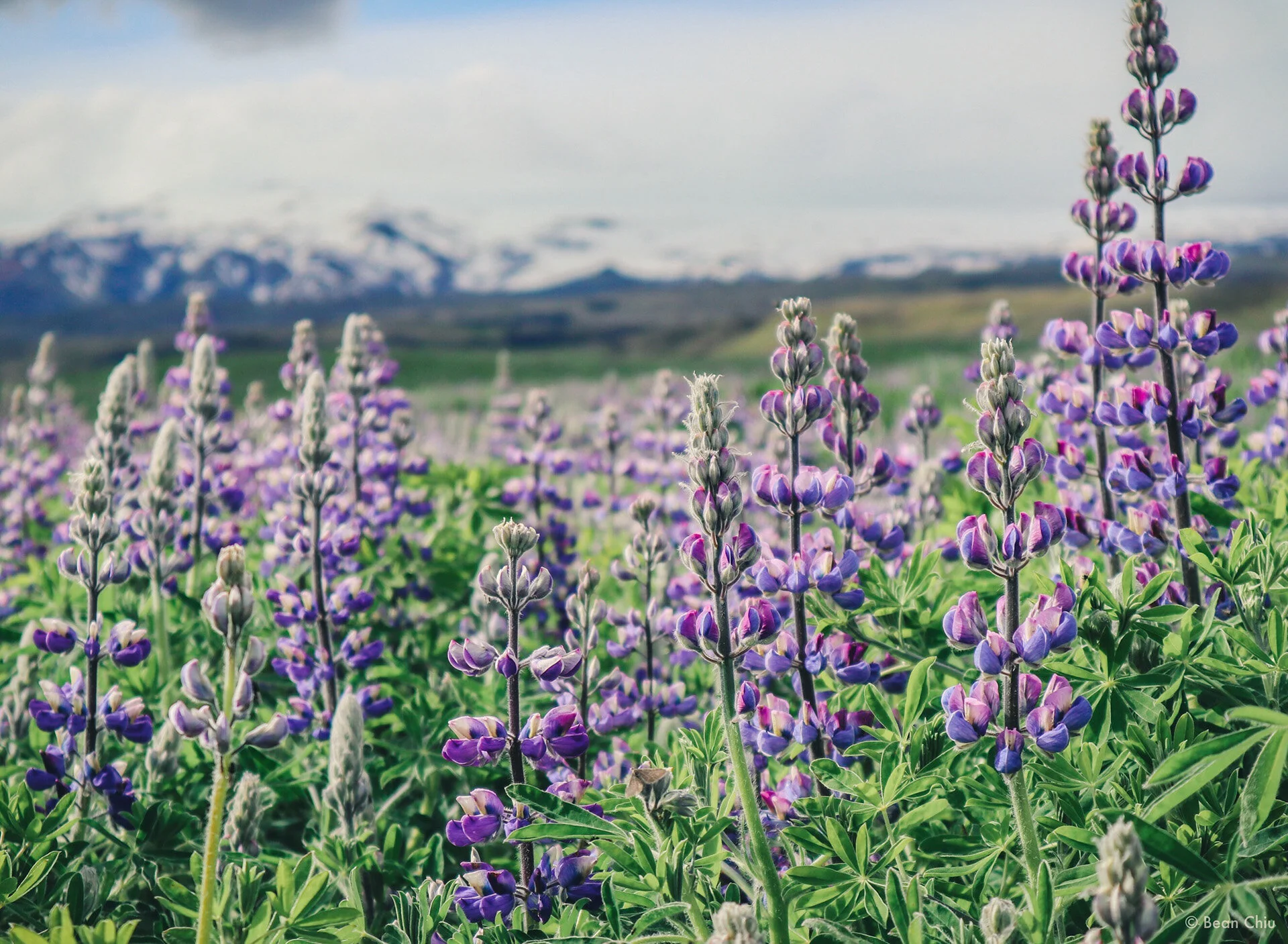 gallery_0310 _1920(32).jpg