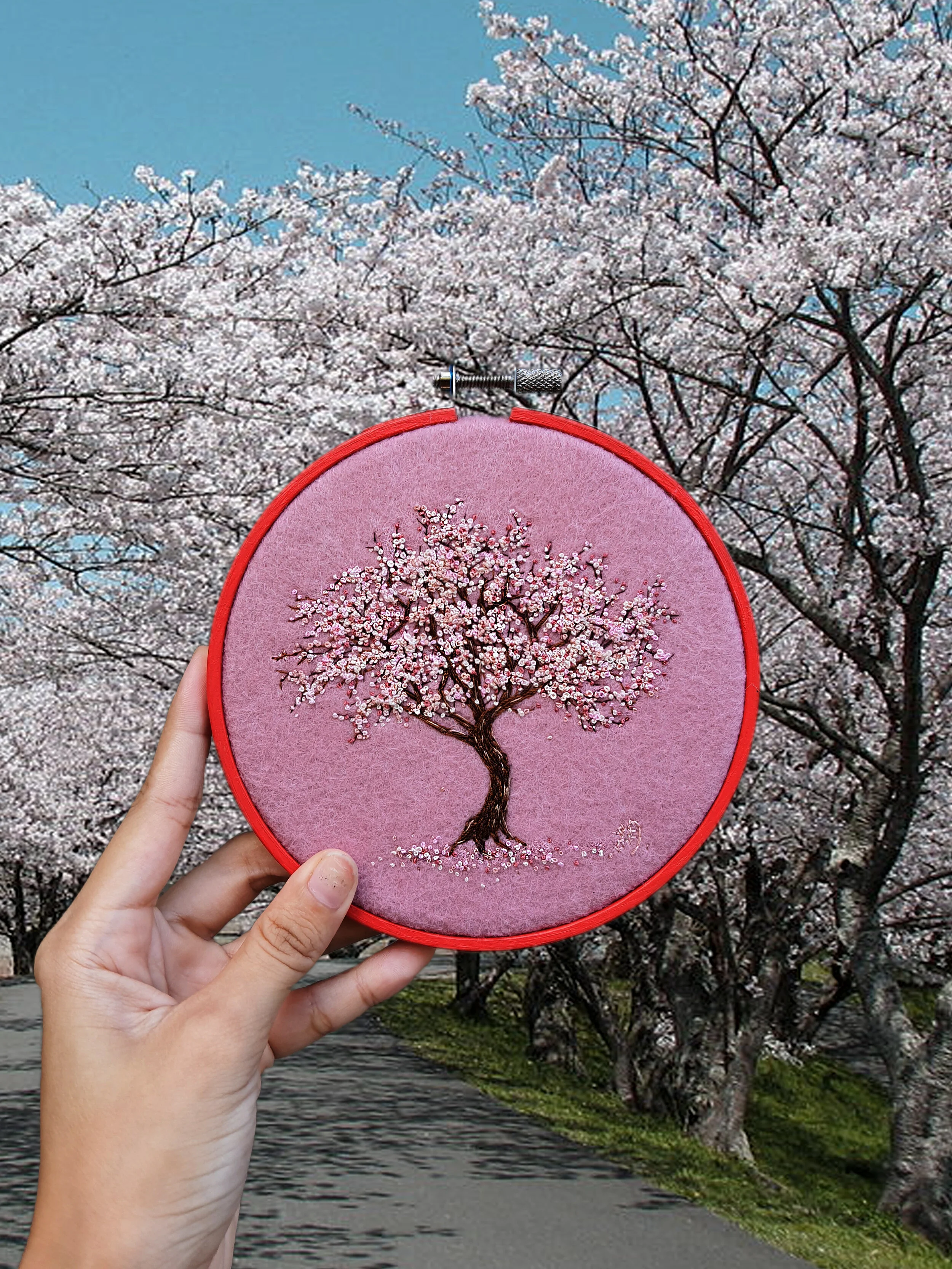Cherry Blossom