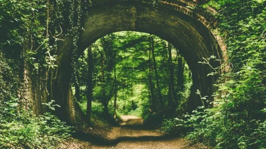 bioeconomy-article