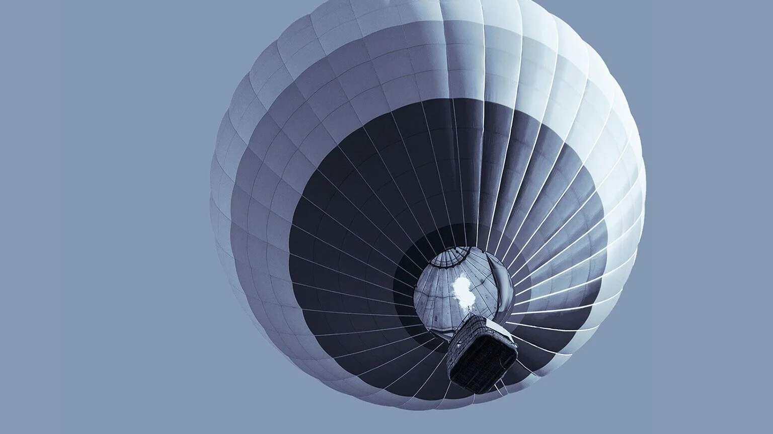 igniting-purpose-mckinsey