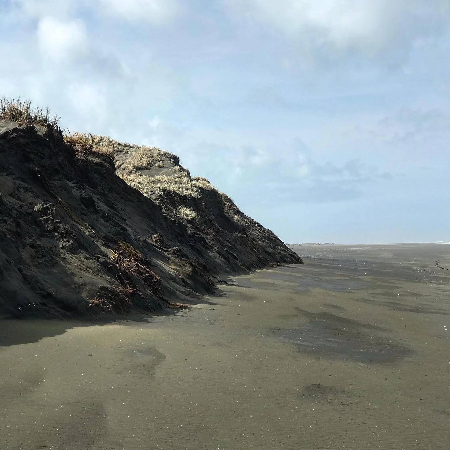 Post 8: The True Reality of Life?