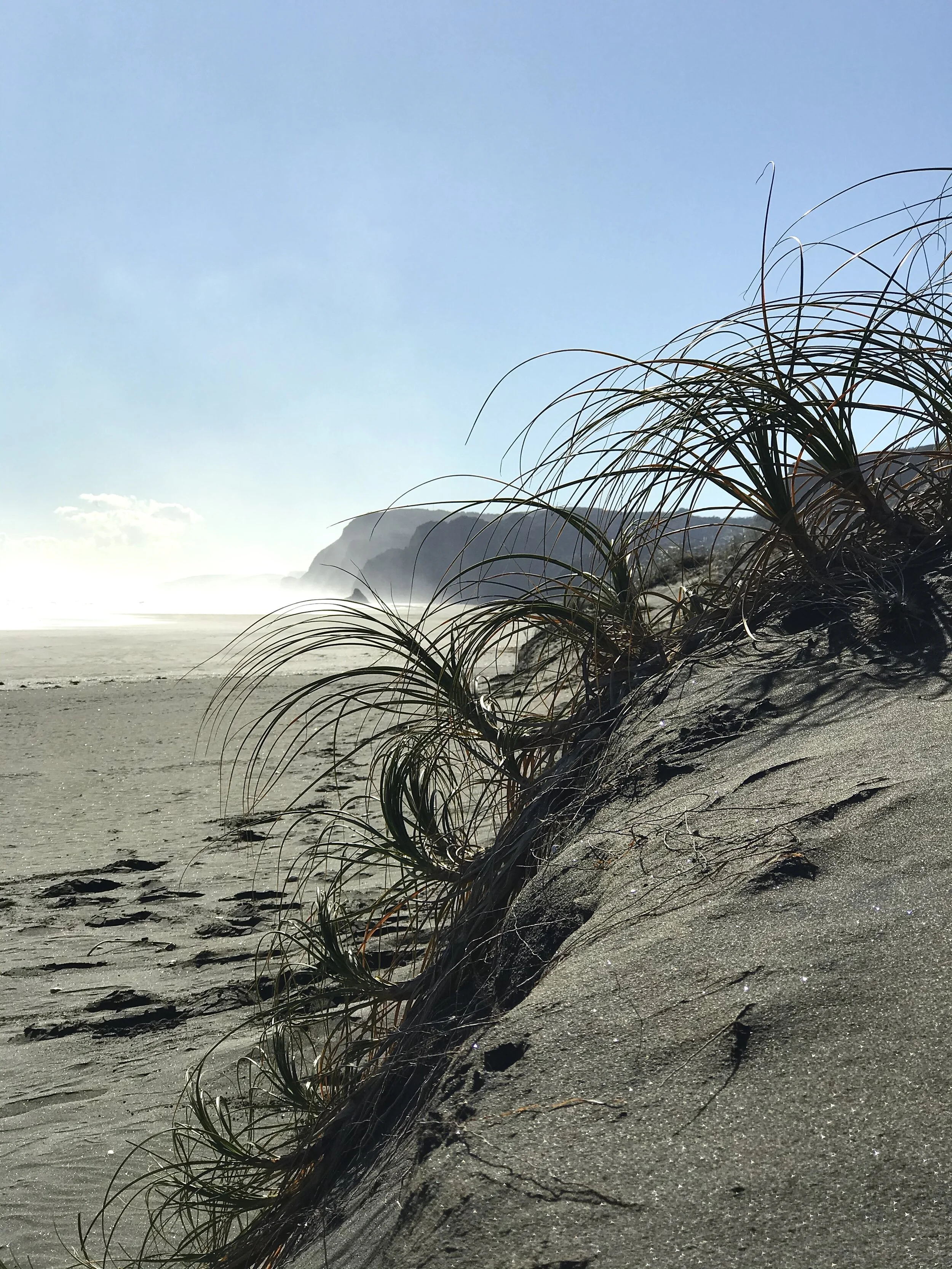 Post 16: Trusting the Process