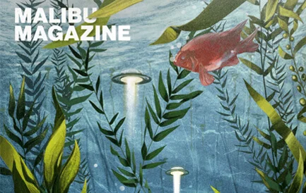 malibu-magazine.jpg