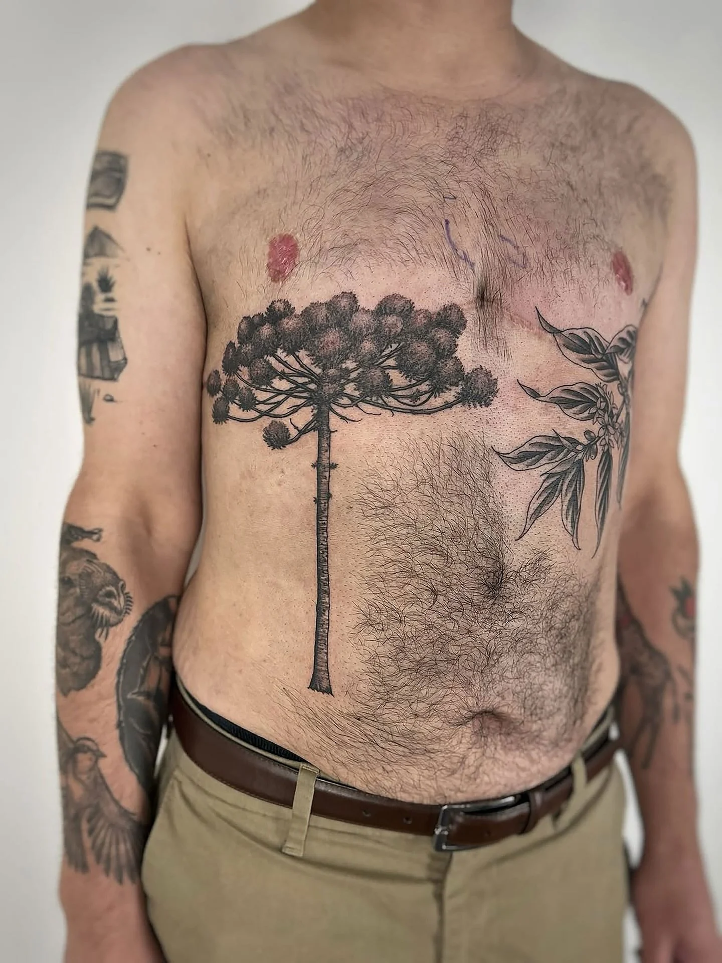 A beautiful beginning to this torso project for Max by @paulajdaveytattoo. 

First session spent mapping out each design element (hi @sharpie 👋🏼) and starting with the soft and rich textures on the Araucaria tree and coffee plant. 

Looking forward