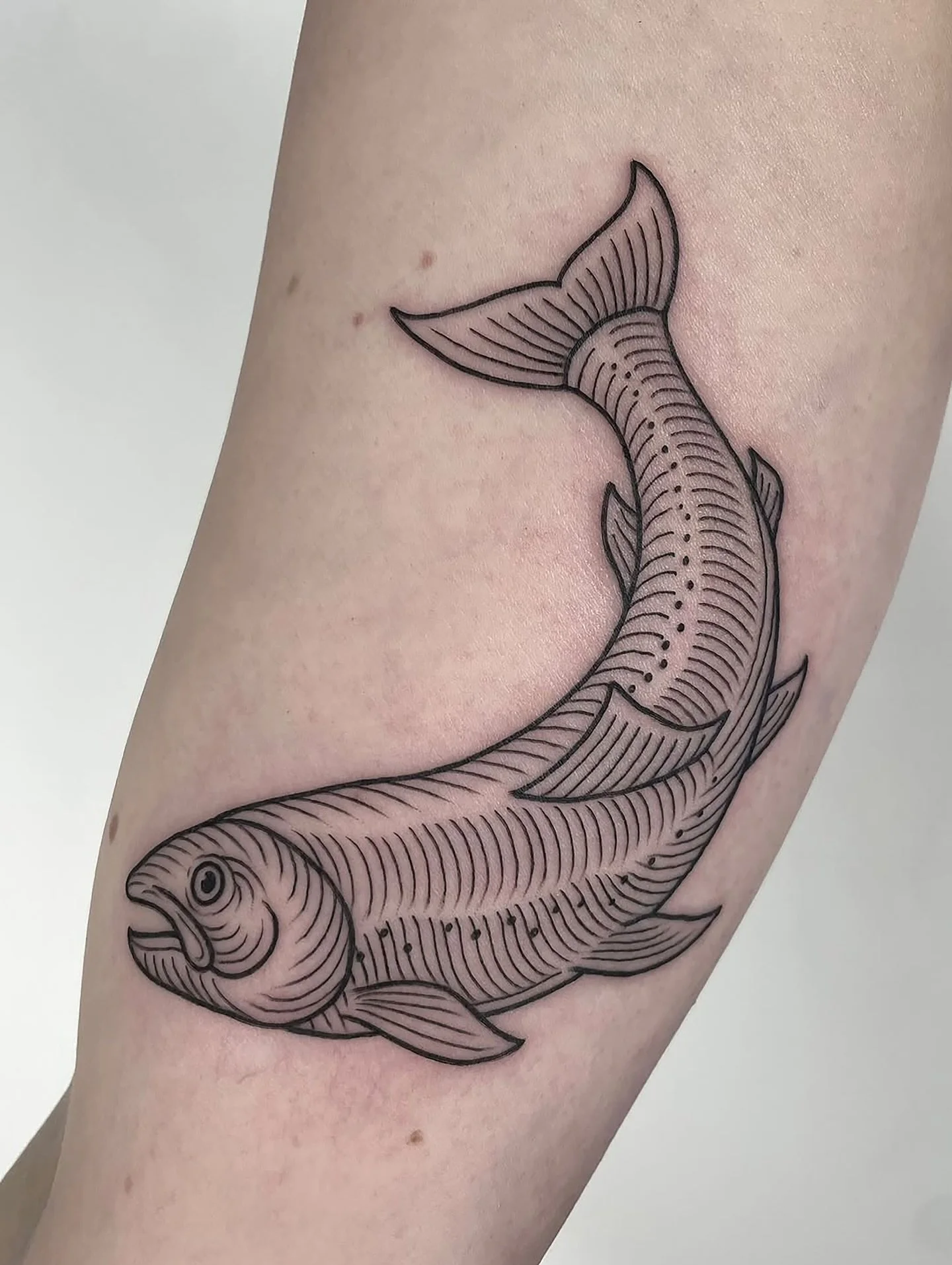 Serving a super sea selection by @eszterdavidtattoo   Etching designs inspired by the ocean. More ideas available from Eszter&rsquo;s incredible flashbook.

#engravingtattoo #seacreatures #londontattoo