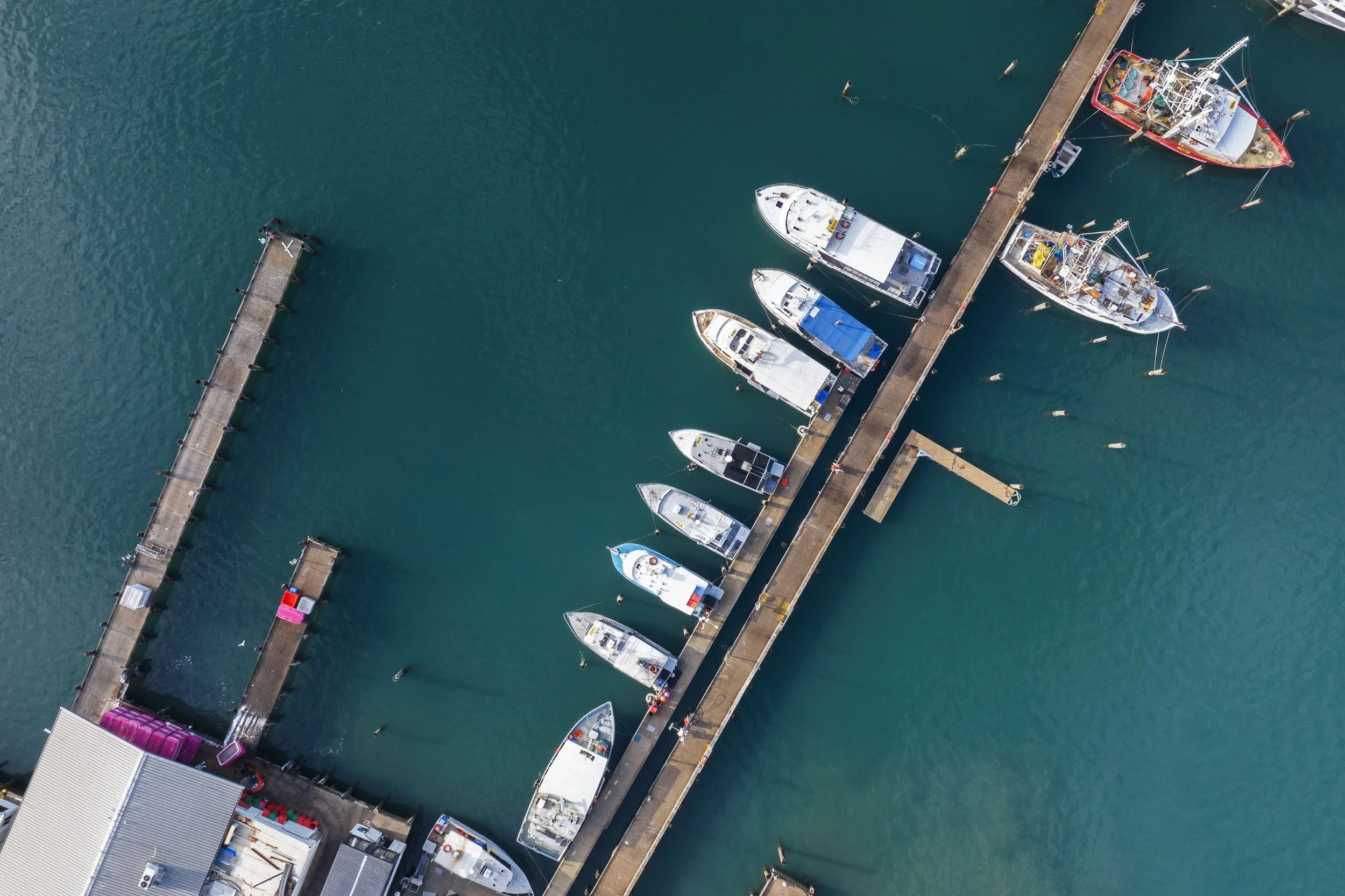 DJI_0045 copy.jpg