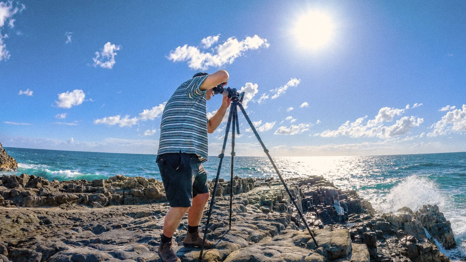 Field Journal - Sunshine Beach