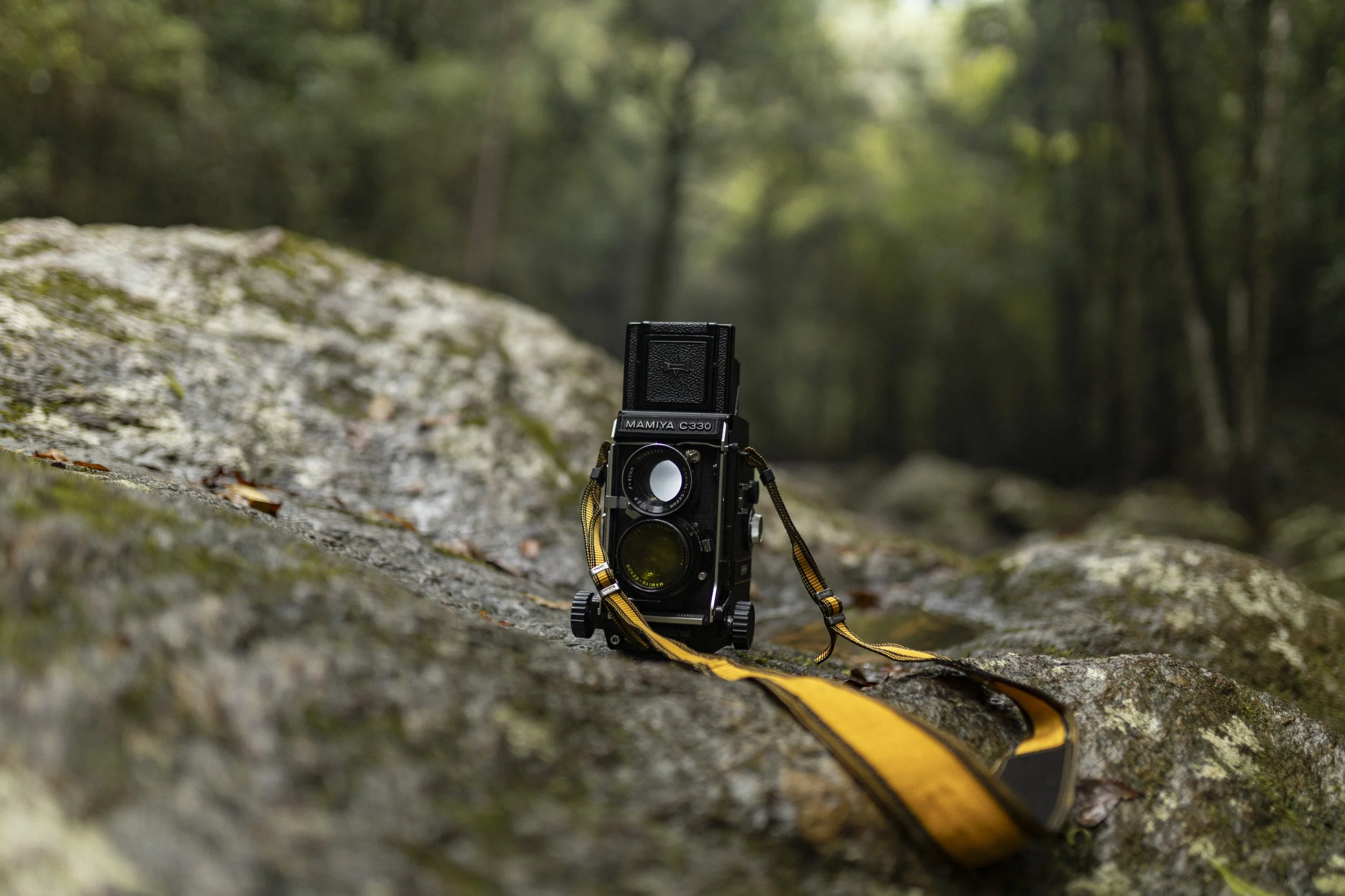 I ordered this Mamiya C330 from Japan and now I’m testing it in this steamy hot forest.