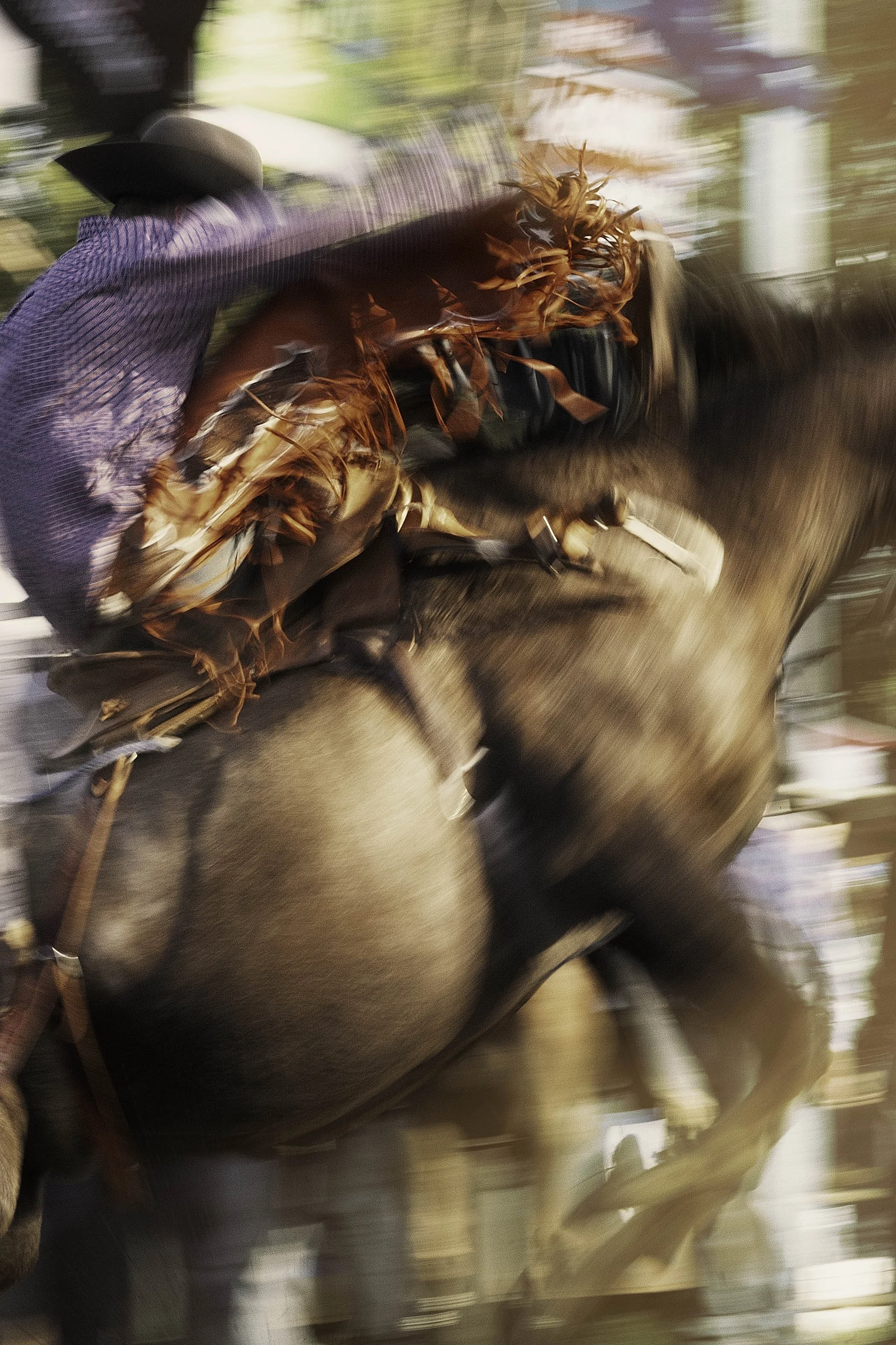 IMBIL RODEO_03 copy.jpg