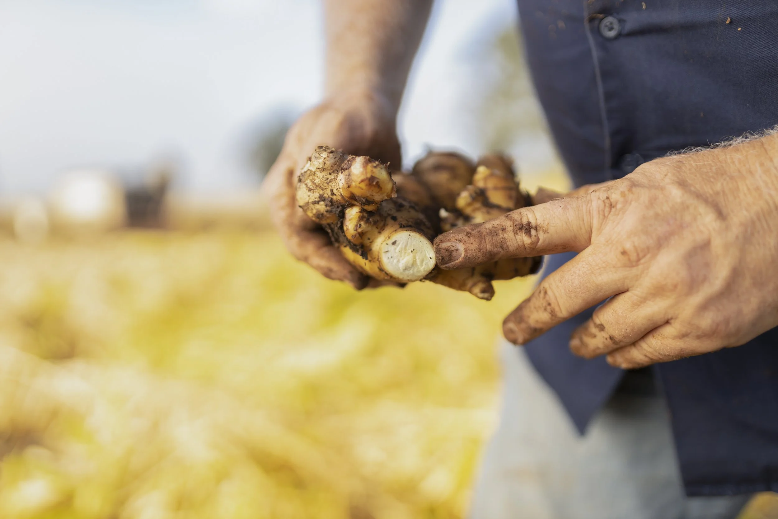 AGRIFUTURES_ 204 copy.jpg